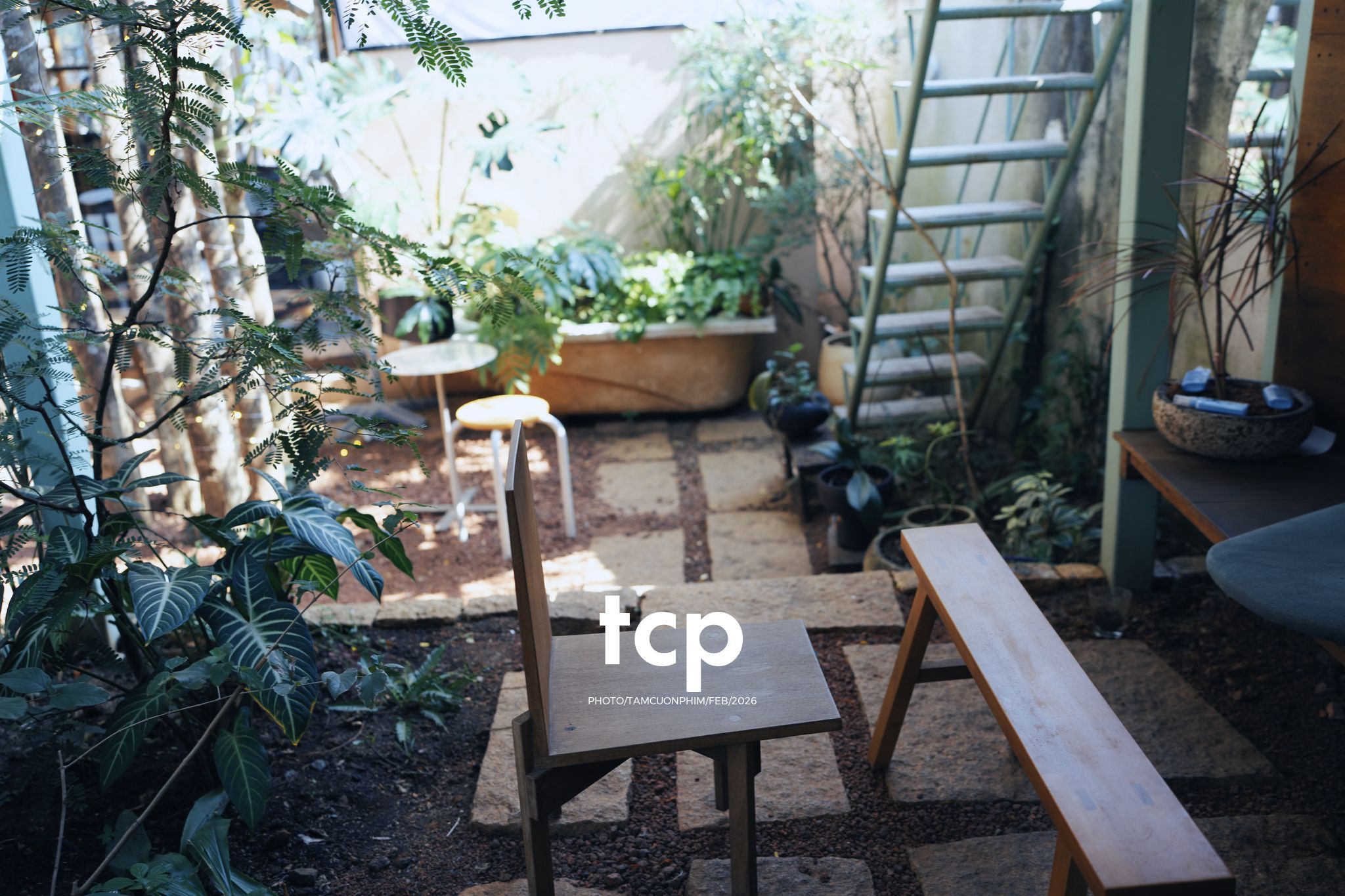 Tám Cuộn Phim - Ly cà phê còn vơi phân nửa giữa phố thị