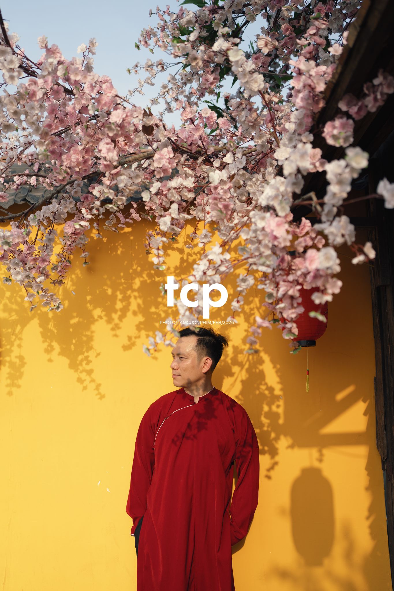 Tám Cuộn Phim - Nét mực vừa dứt trên mặt giấy dó