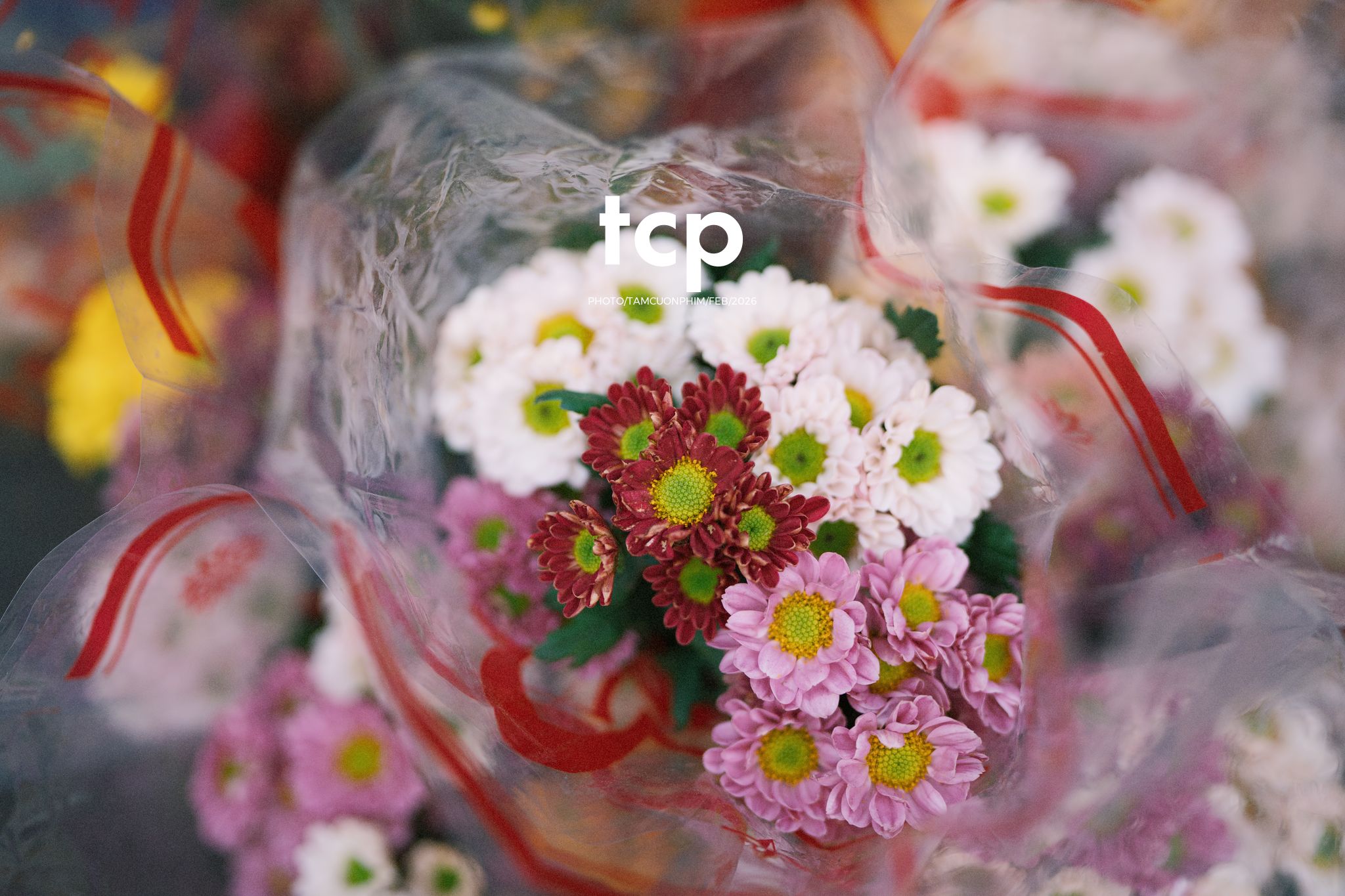 Tám Cuộn Phim - Cành hoa rực rỡ bên mớ ớt cay nồng