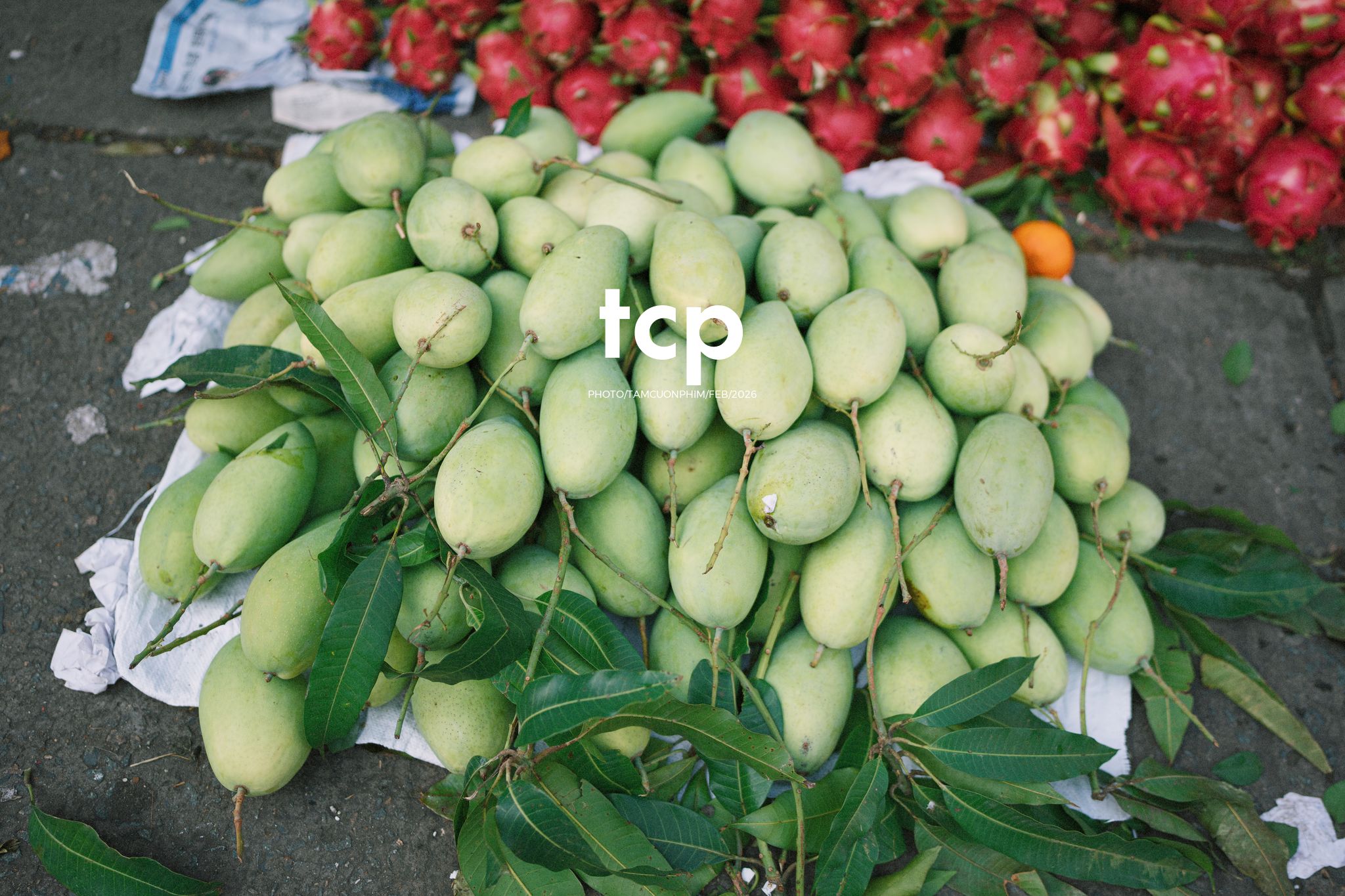 Tám Cuộn Phim - Cành hoa rực rỡ bên mớ ớt cay nồng