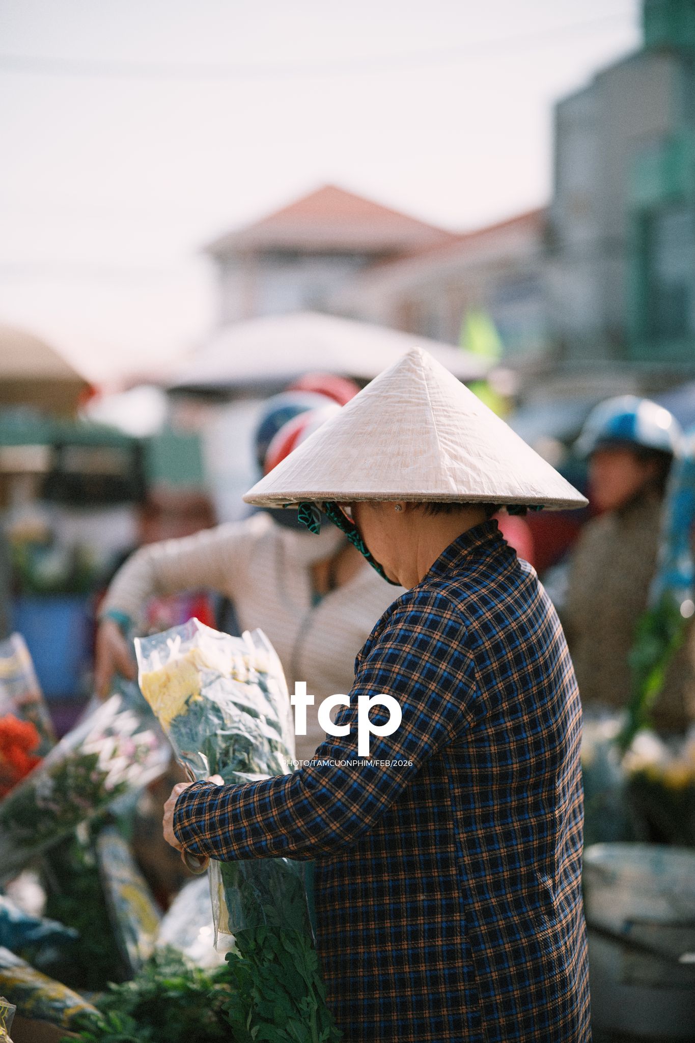 Tám Cuộn Phim - Cành hoa rực rỡ bên mớ ớt cay nồng