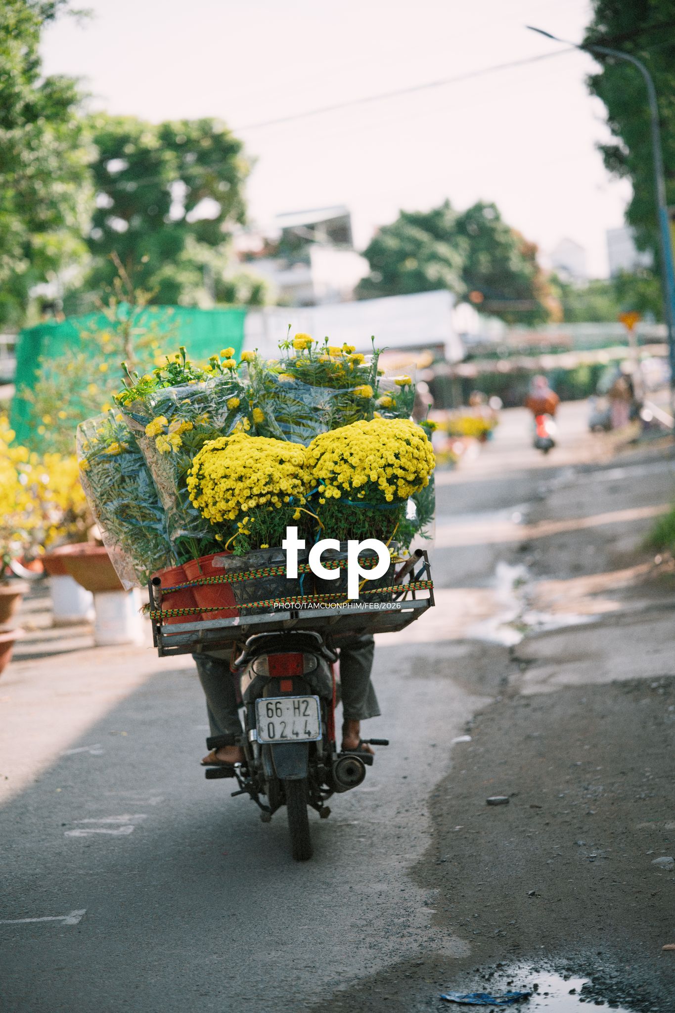 Tám Cuộn Phim - Cành hoa rực rỡ bên mớ ớt cay nồng