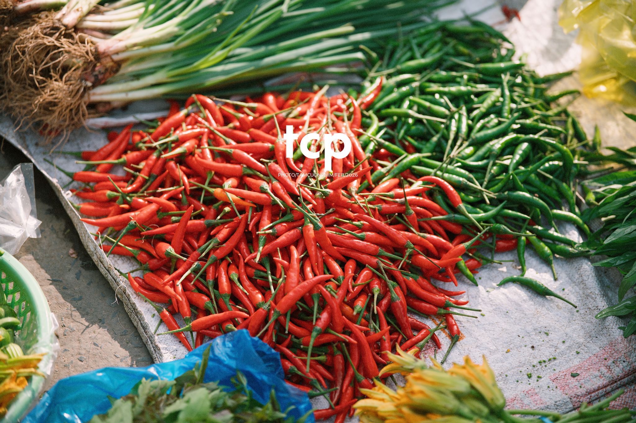 Tám Cuộn Phim - Cành hoa rực rỡ bên mớ ớt cay nồng