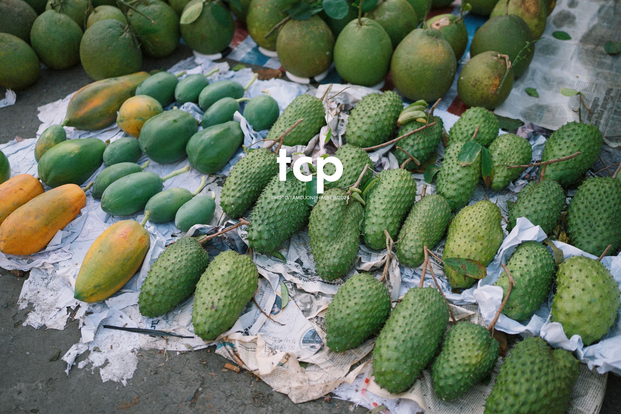 Tám Cuộn Phim - Cành hoa rực rỡ bên mớ ớt cay nồng