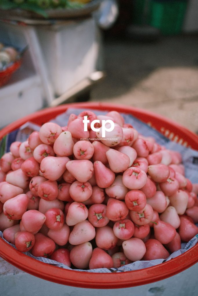 Tám Cuộn Phim - Cành hoa rực rỡ bên mớ ớt cay nồng
