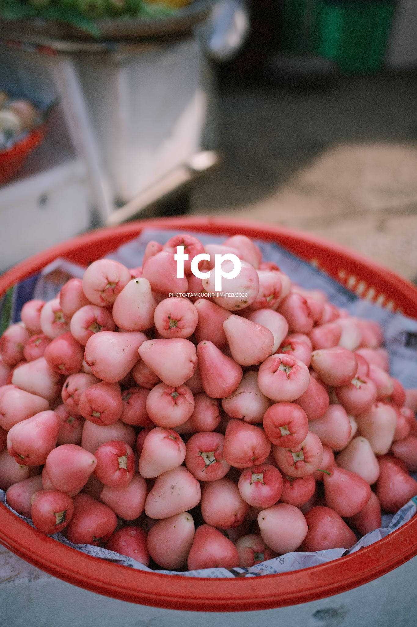 Tám Cuộn Phim - Cành hoa rực rỡ bên mớ ớt cay nồng