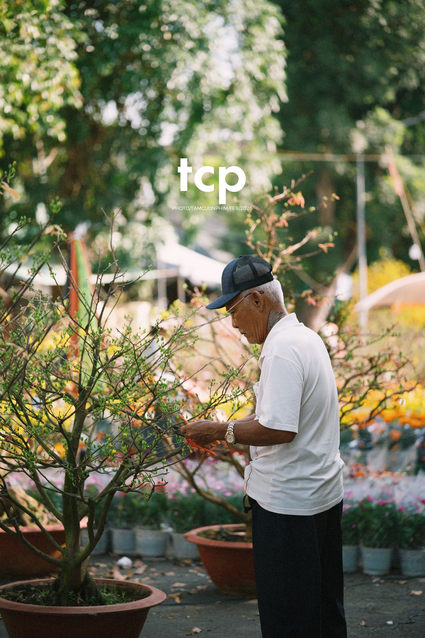 Tám Cuộn Phim - Cành hoa rực rỡ bên mớ ớt cay nồng