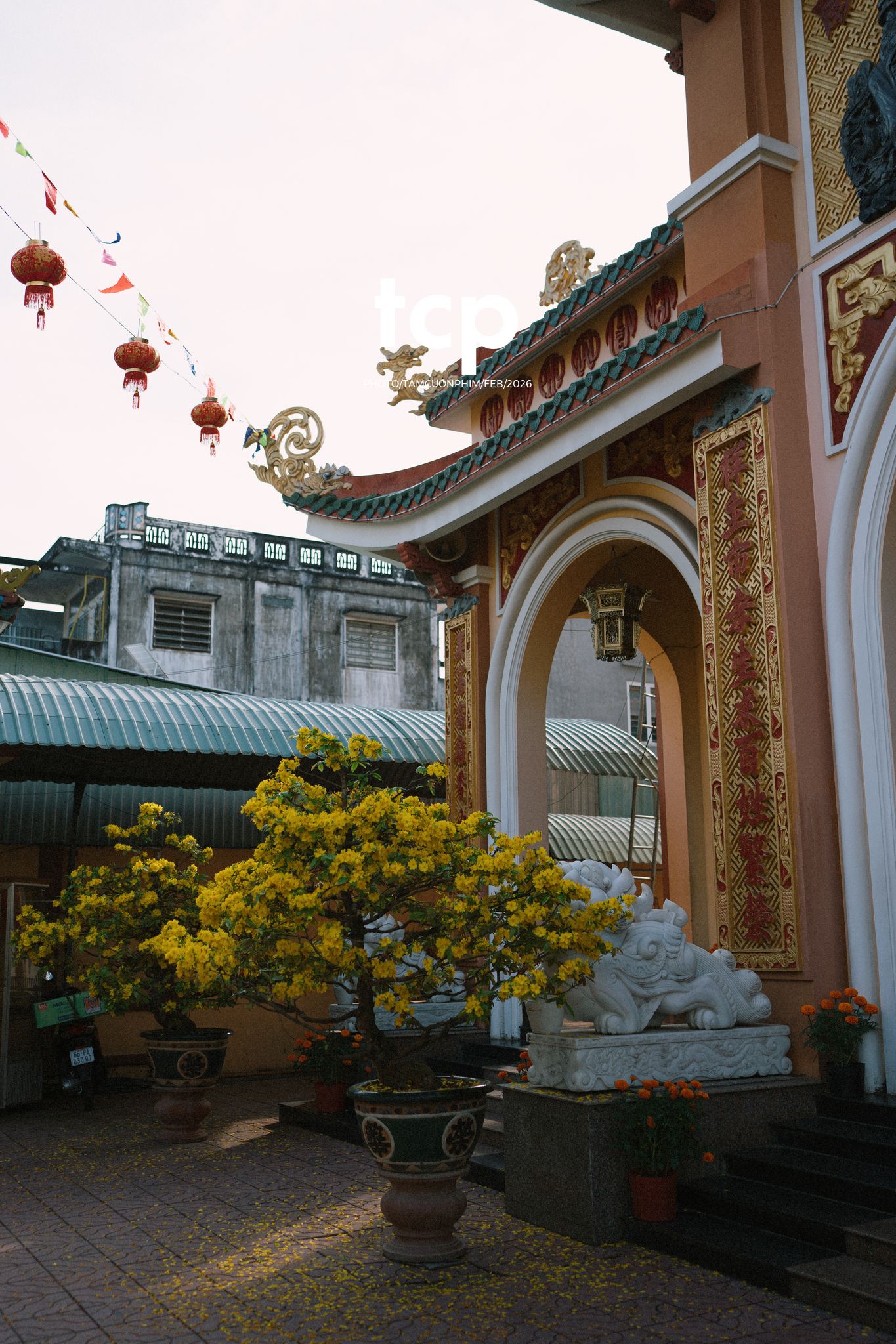 Tám Cuộn Phim - Cành hoa rực rỡ bên mớ ớt cay nồng