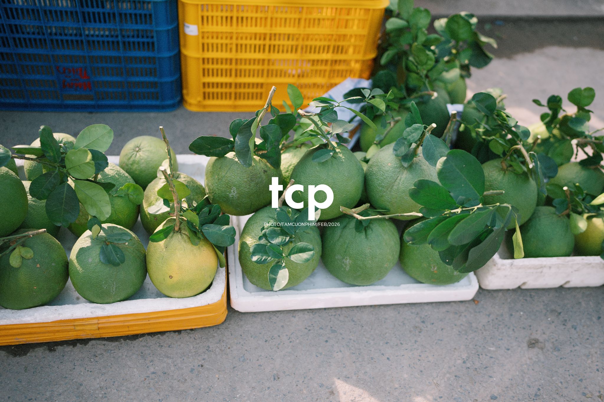 Tám Cuộn Phim - Cành hoa rực rỡ bên mớ ớt cay nồng