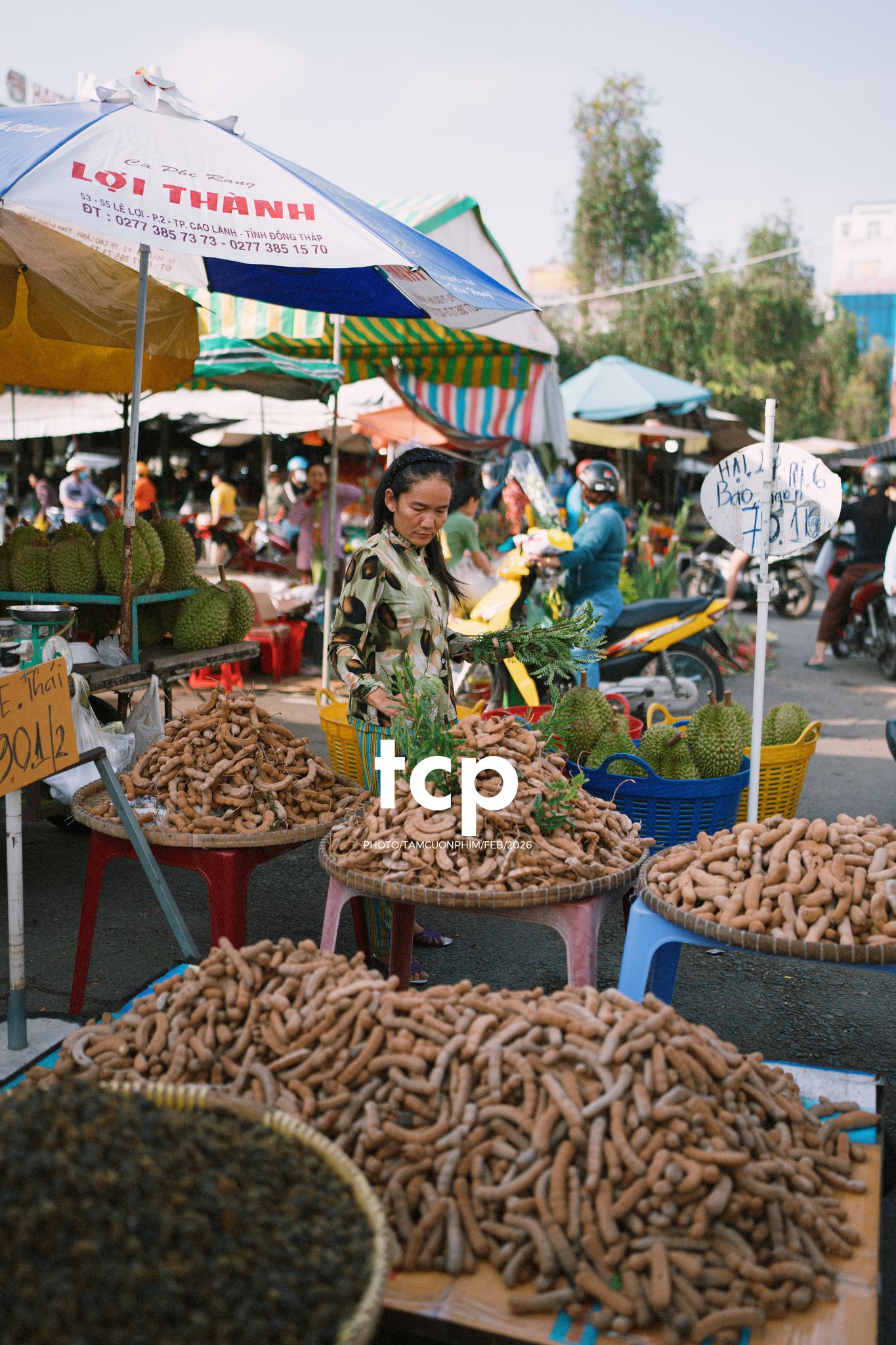 Tám Cuộn Phim - Cành hoa rực rỡ bên mớ ớt cay nồng