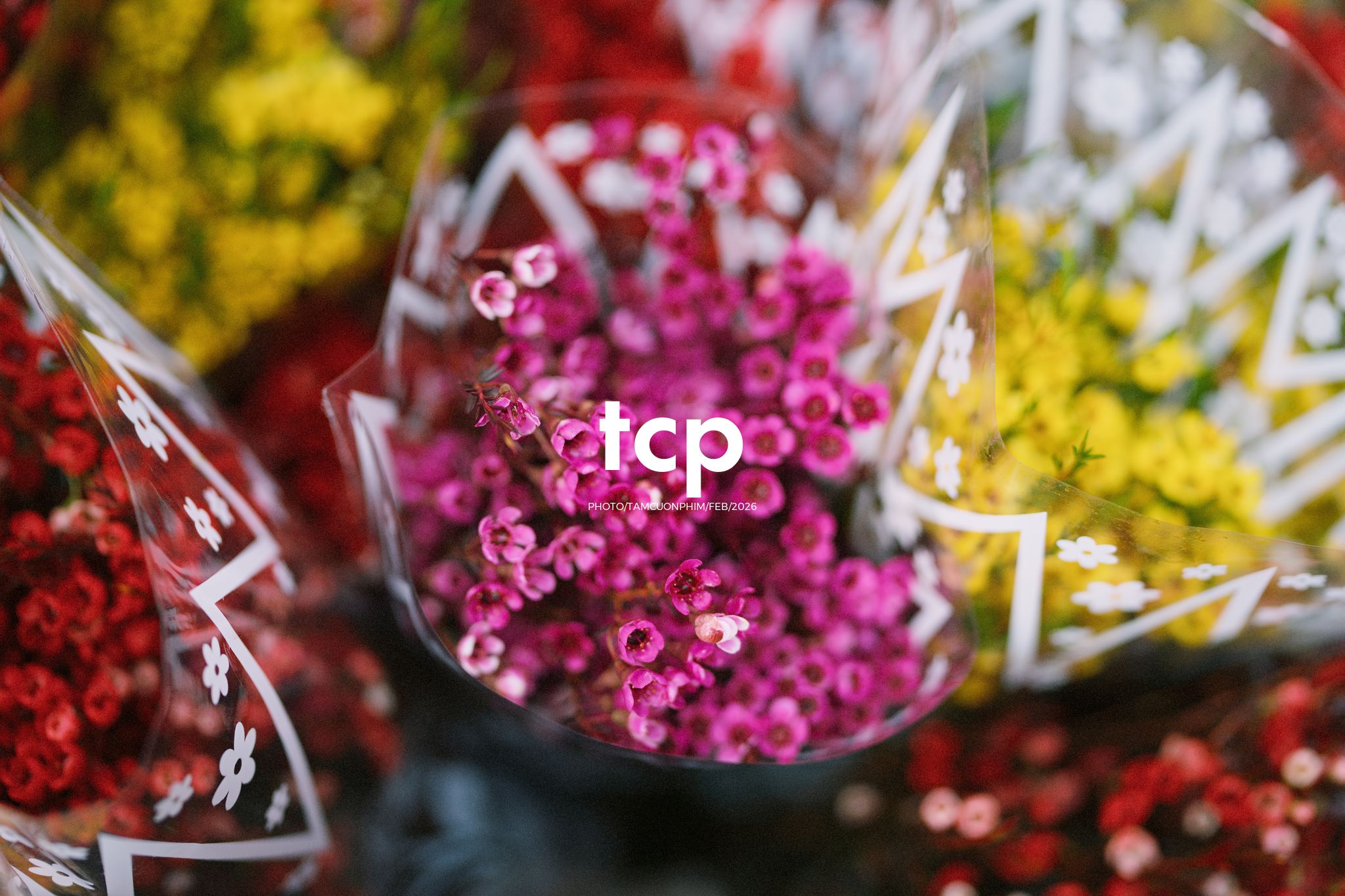 Tám Cuộn Phim - Cành hoa rực rỡ bên mớ ớt cay nồng