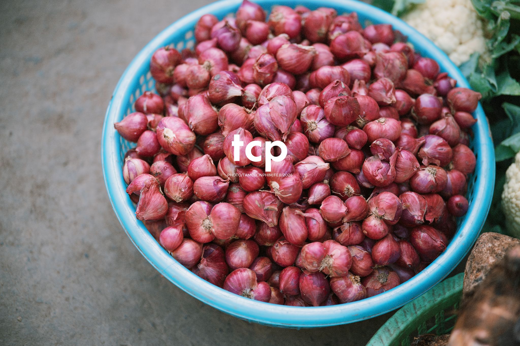 Tám Cuộn Phim - Cành hoa rực rỡ bên mớ ớt cay nồng