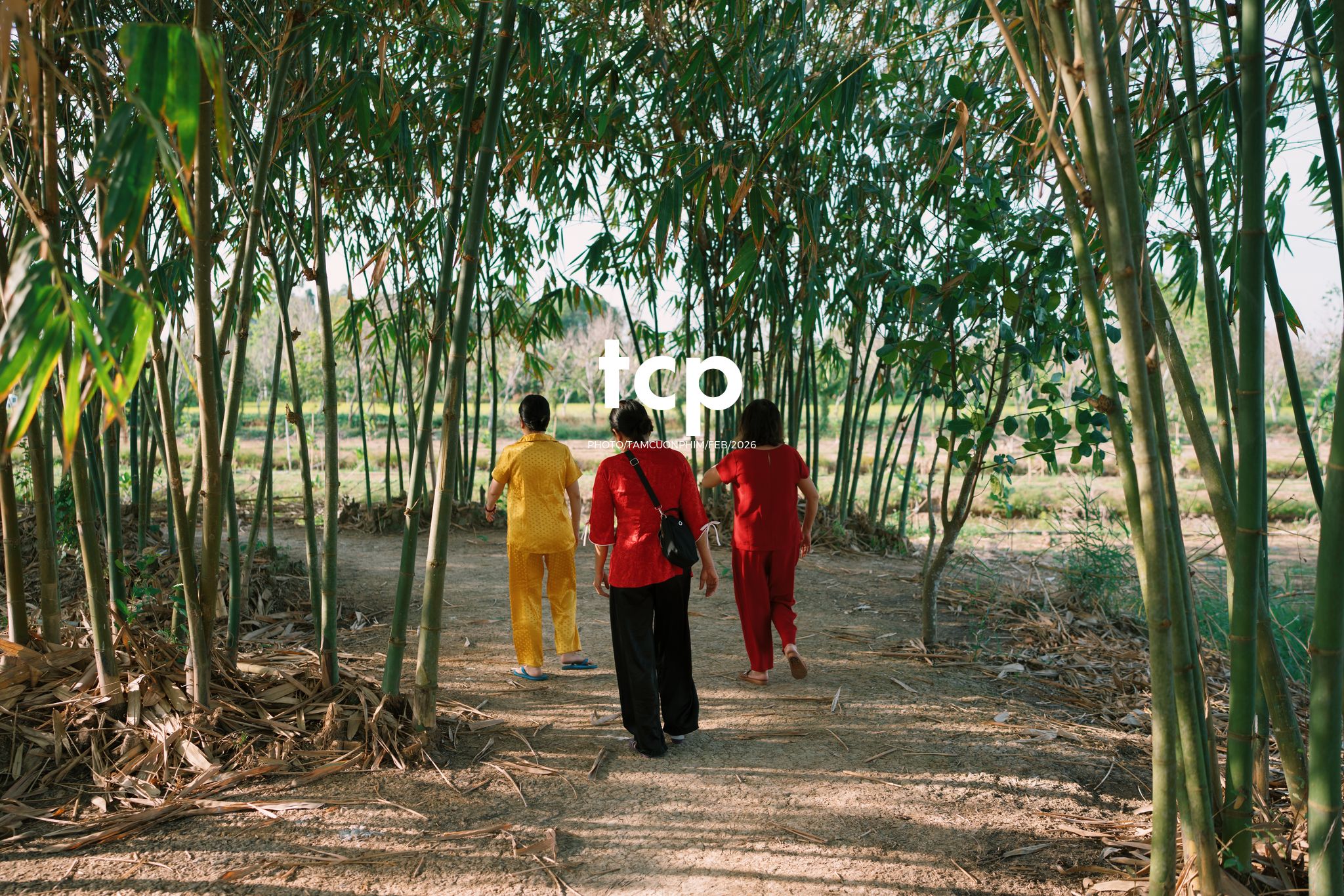 Tám Cuộn Phim - Khi "boss" cũng biết tạo dáng đón xuân về!