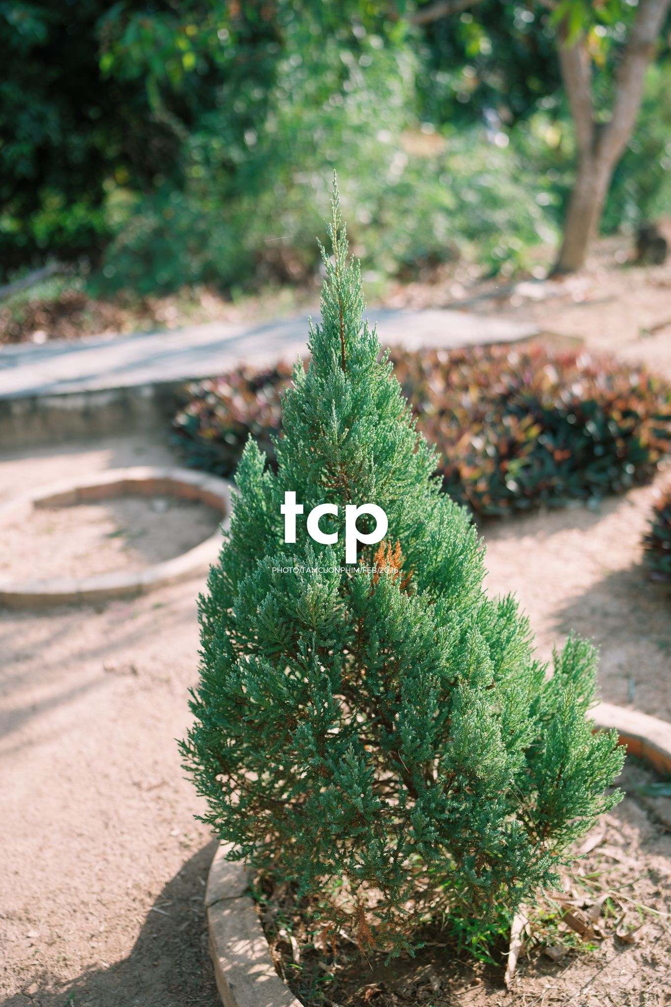 Tám Cuộn Phim - Khi "boss" cũng biết tạo dáng đón xuân về!