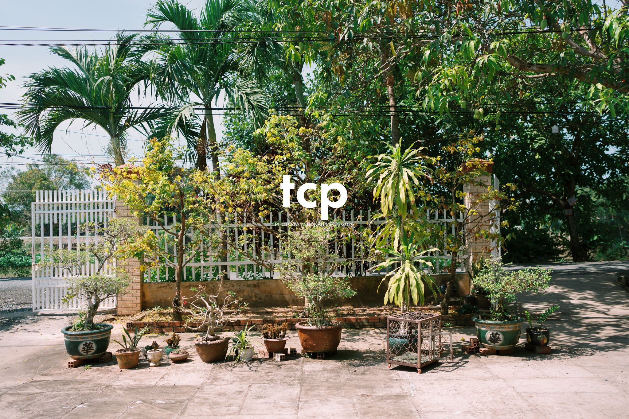 Tám Cuộn Phim - Khi "boss" cũng biết tạo dáng đón xuân về!