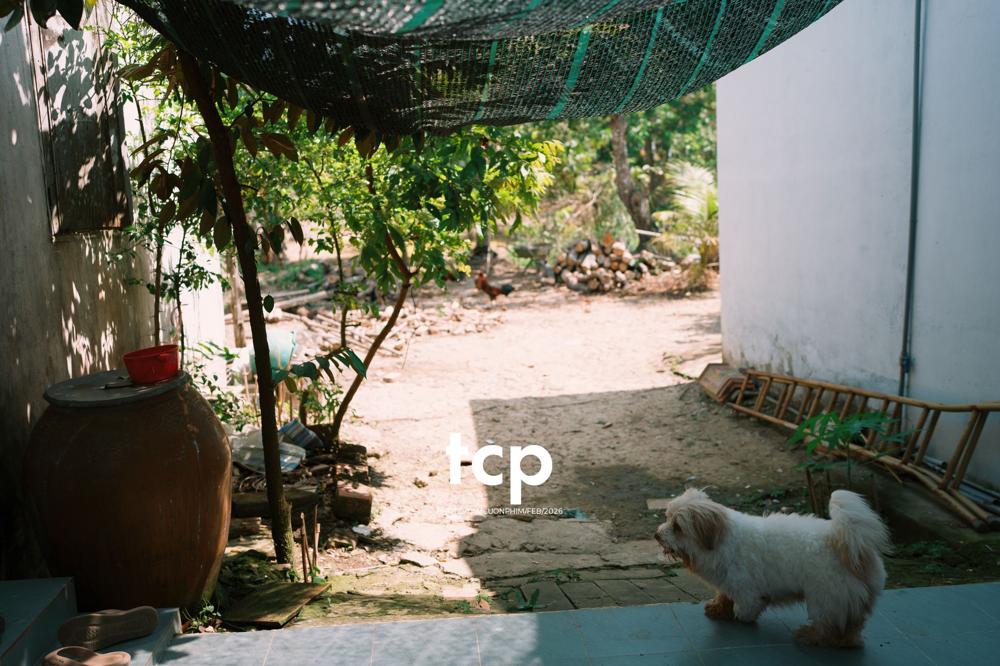 Tám Cuộn Phim - Khi "boss" cũng biết tạo dáng đón xuân về!