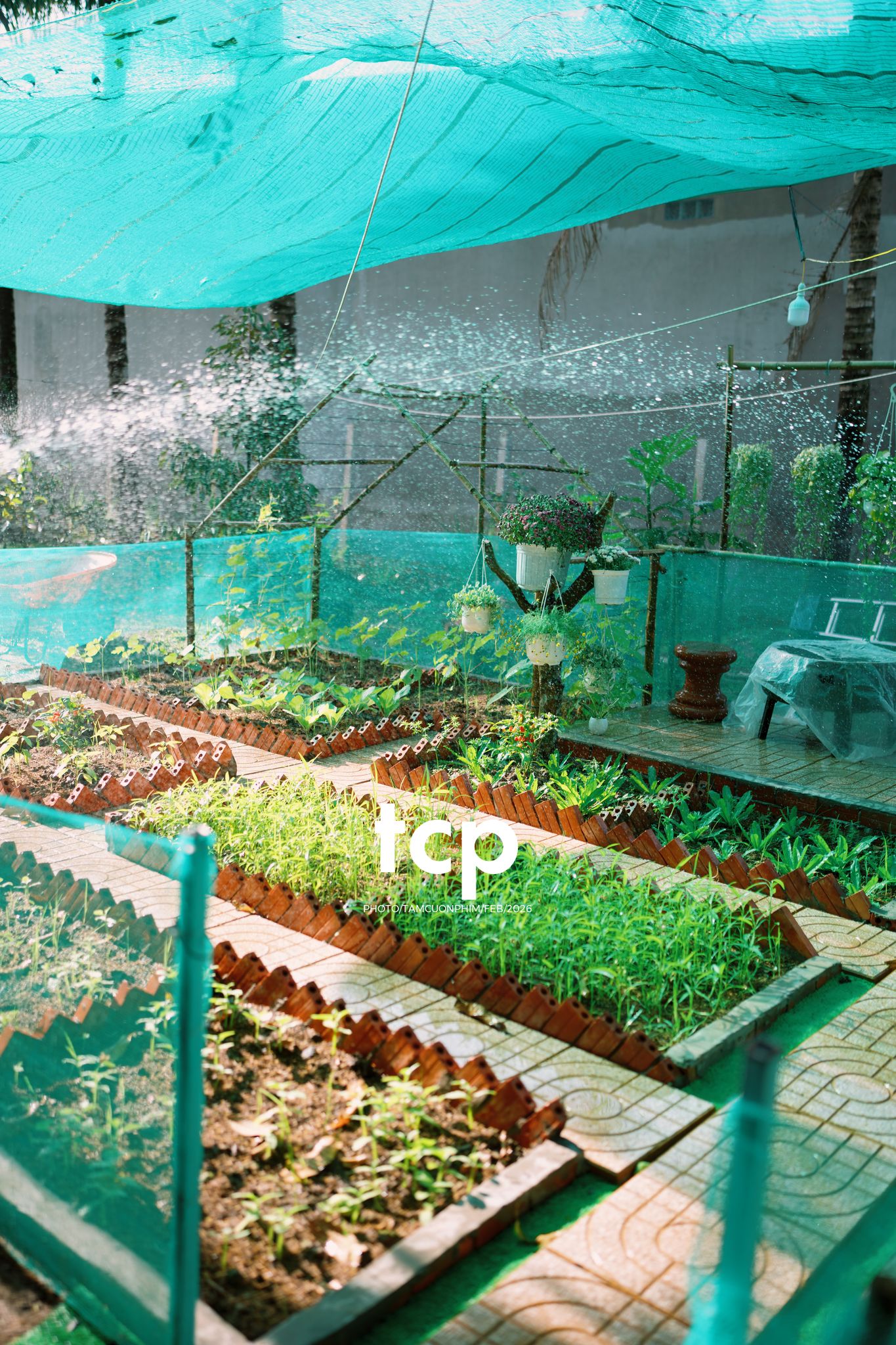 Tám Cuộn Phim - Khi "boss" cũng biết tạo dáng đón xuân về!