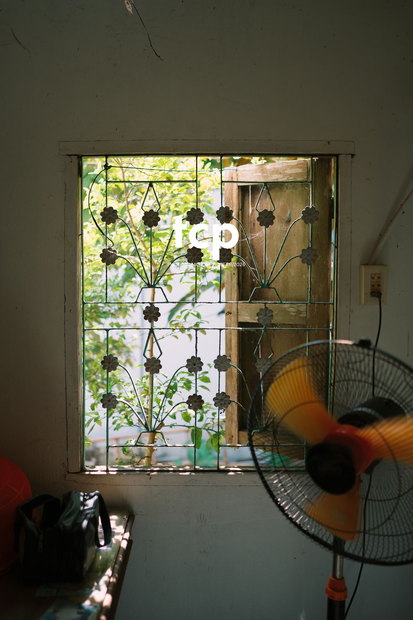 Tám Cuộn Phim - Khi "boss" cũng biết tạo dáng đón xuân về!