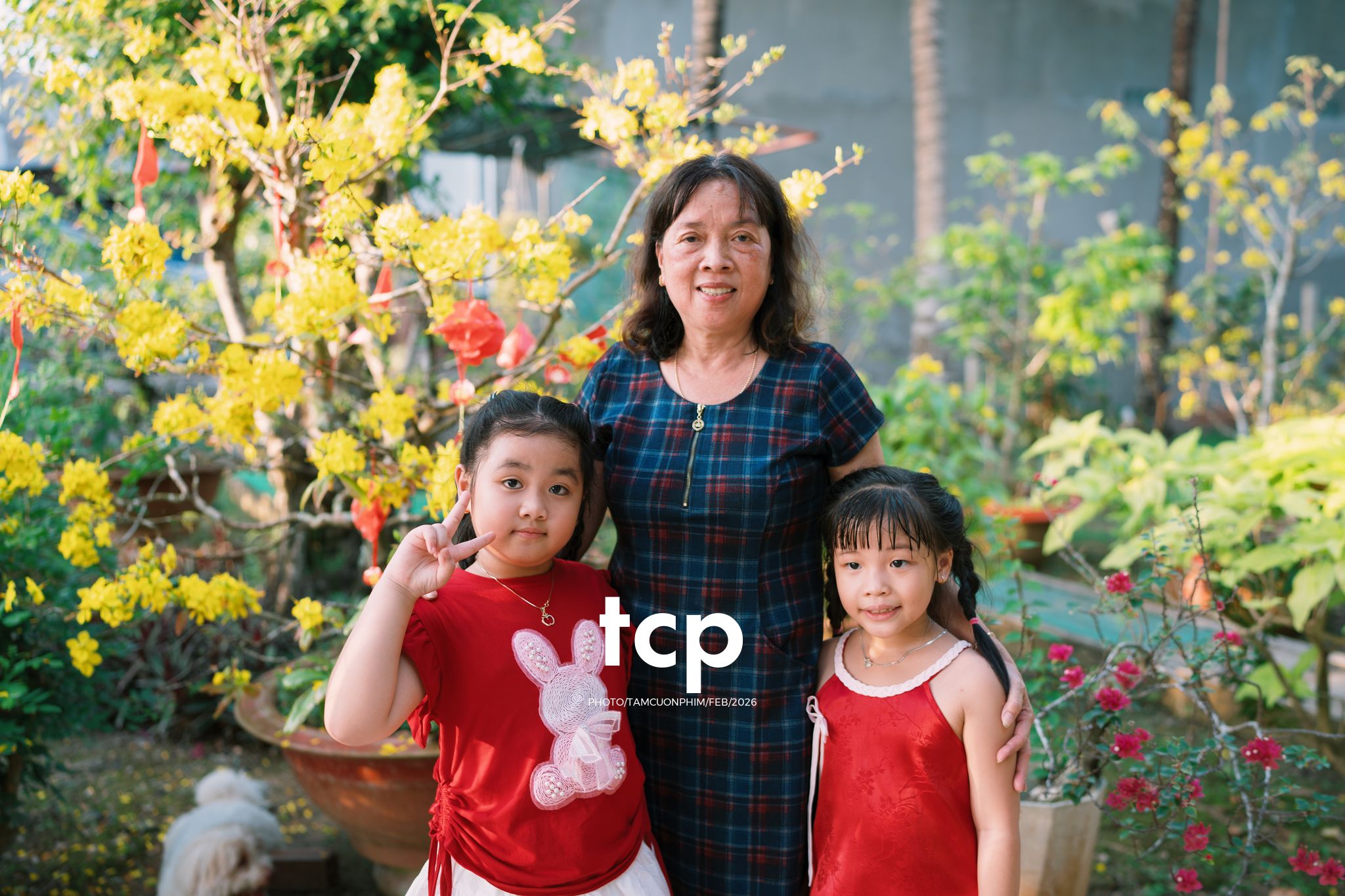 Tám Cuộn Phim - Vừa kịp lúc hoa nở rộ bên hiên nhà