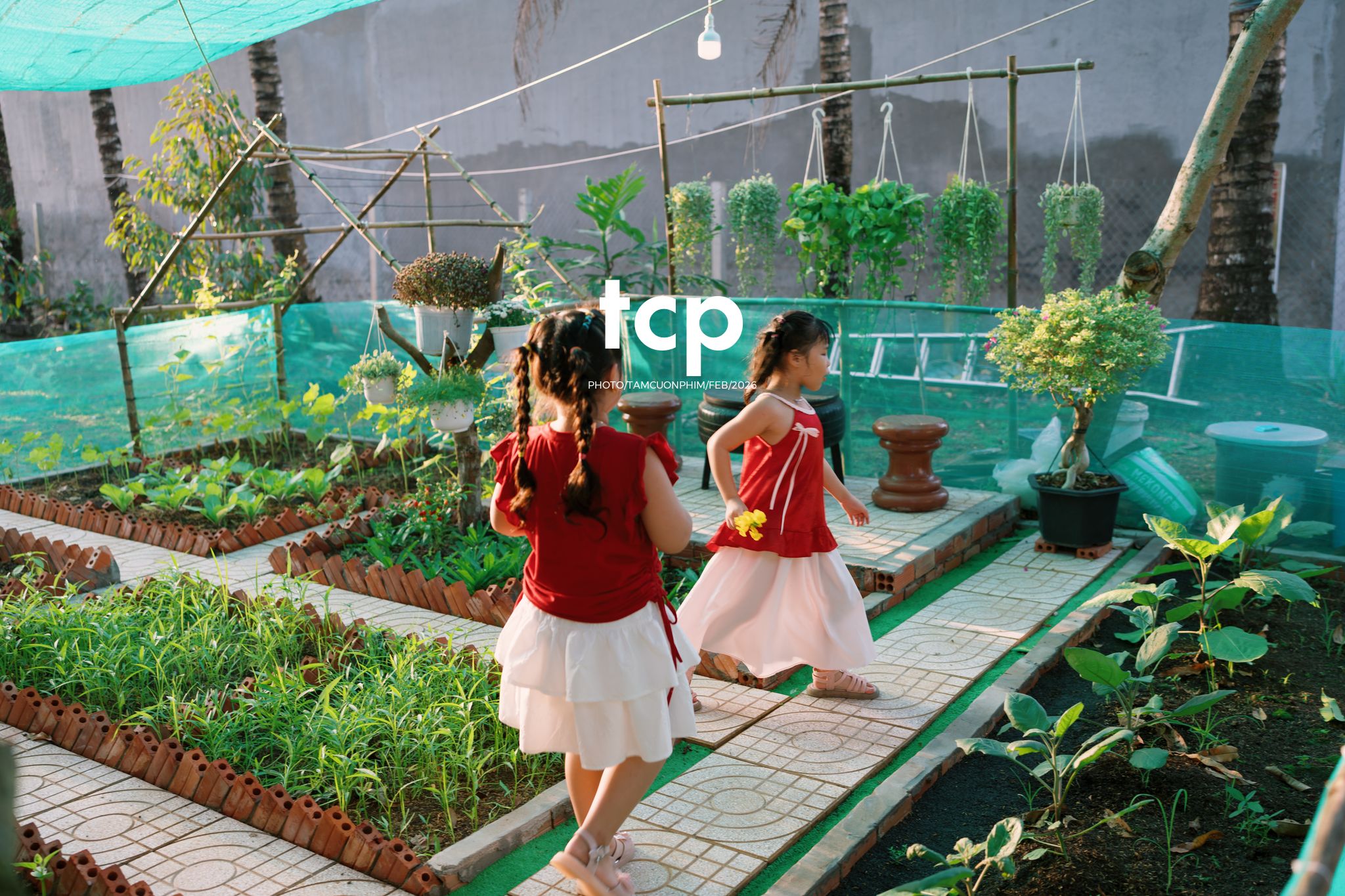 Tám Cuộn Phim - Vừa kịp lúc hoa nở rộ bên hiên nhà