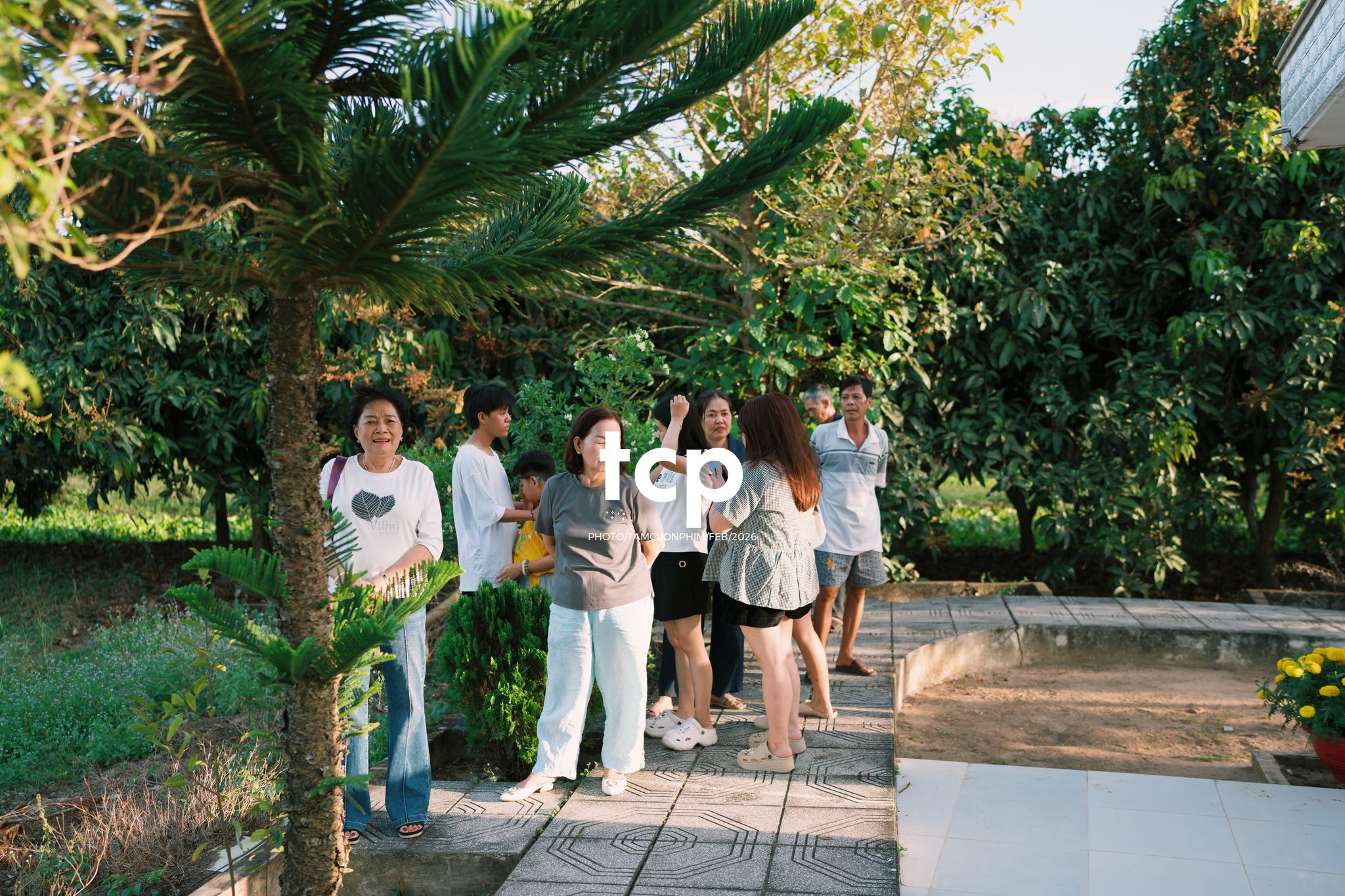 Tám Cuộn Phim - Vừa kịp lúc hoa nở rộ bên hiên nhà