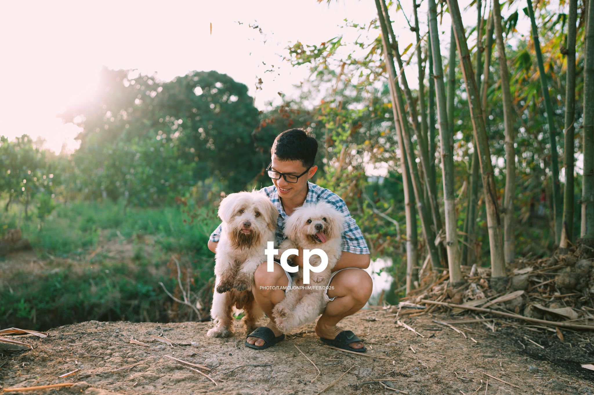 Tám Cuộn Phim - Vừa kịp lúc hoa nở rộ bên hiên nhà