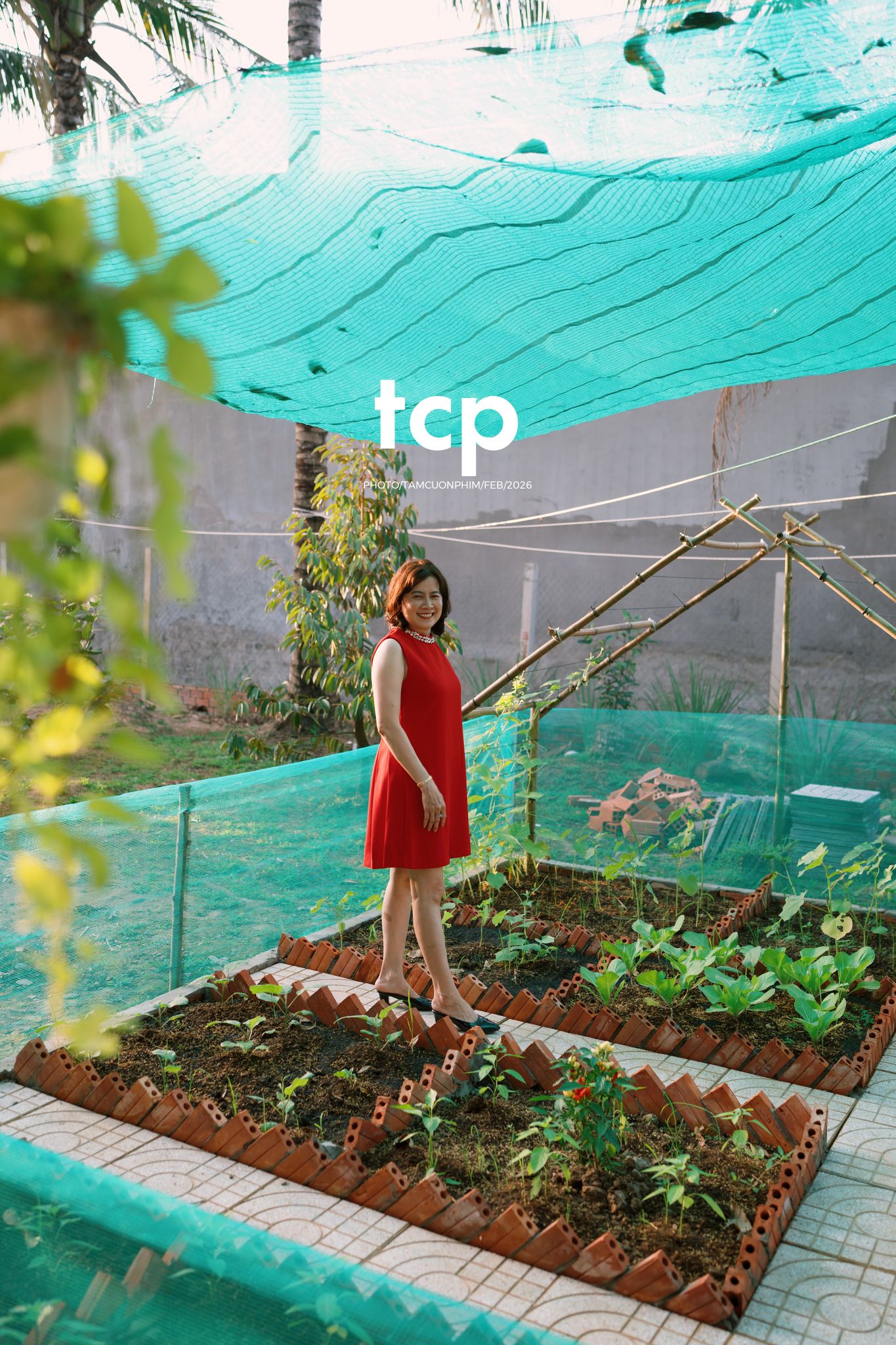 Tám Cuộn Phim - Vừa kịp lúc hoa nở rộ bên hiên nhà