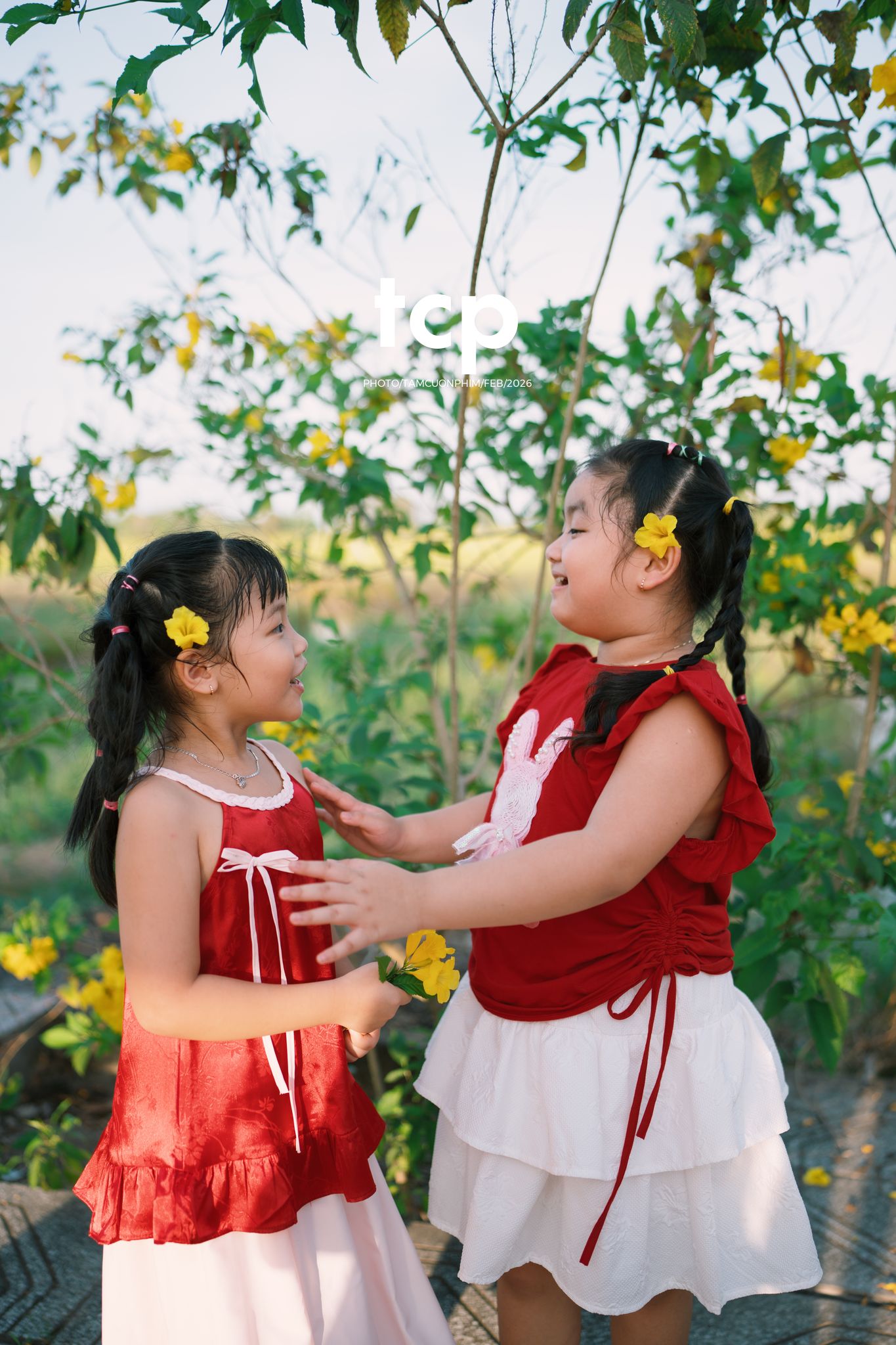 Tám Cuộn Phim - Vừa kịp lúc hoa nở rộ bên hiên nhà