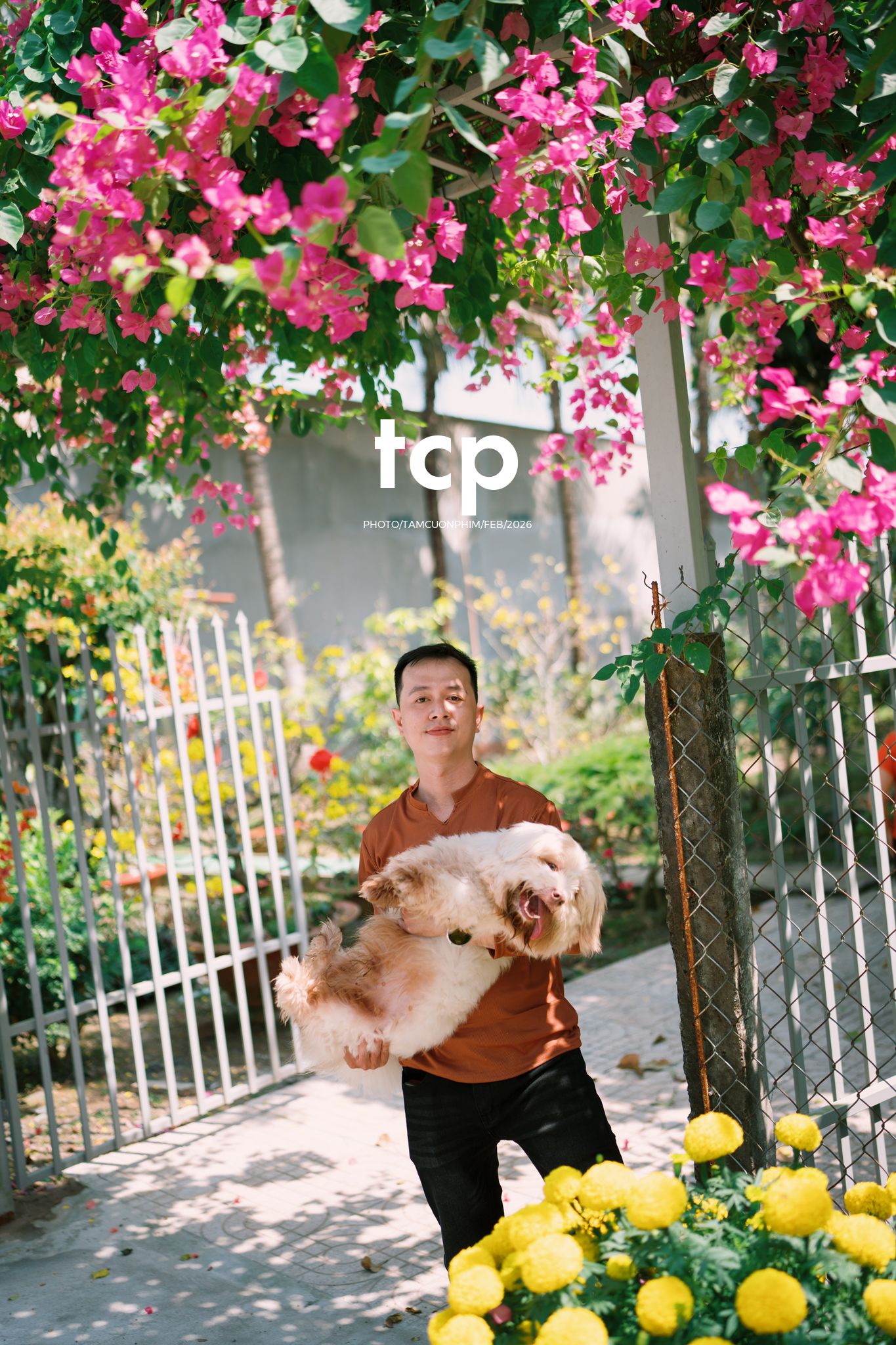 Tám Cuộn Phim - Vừa kịp lúc hoa nở rộ bên hiên nhà