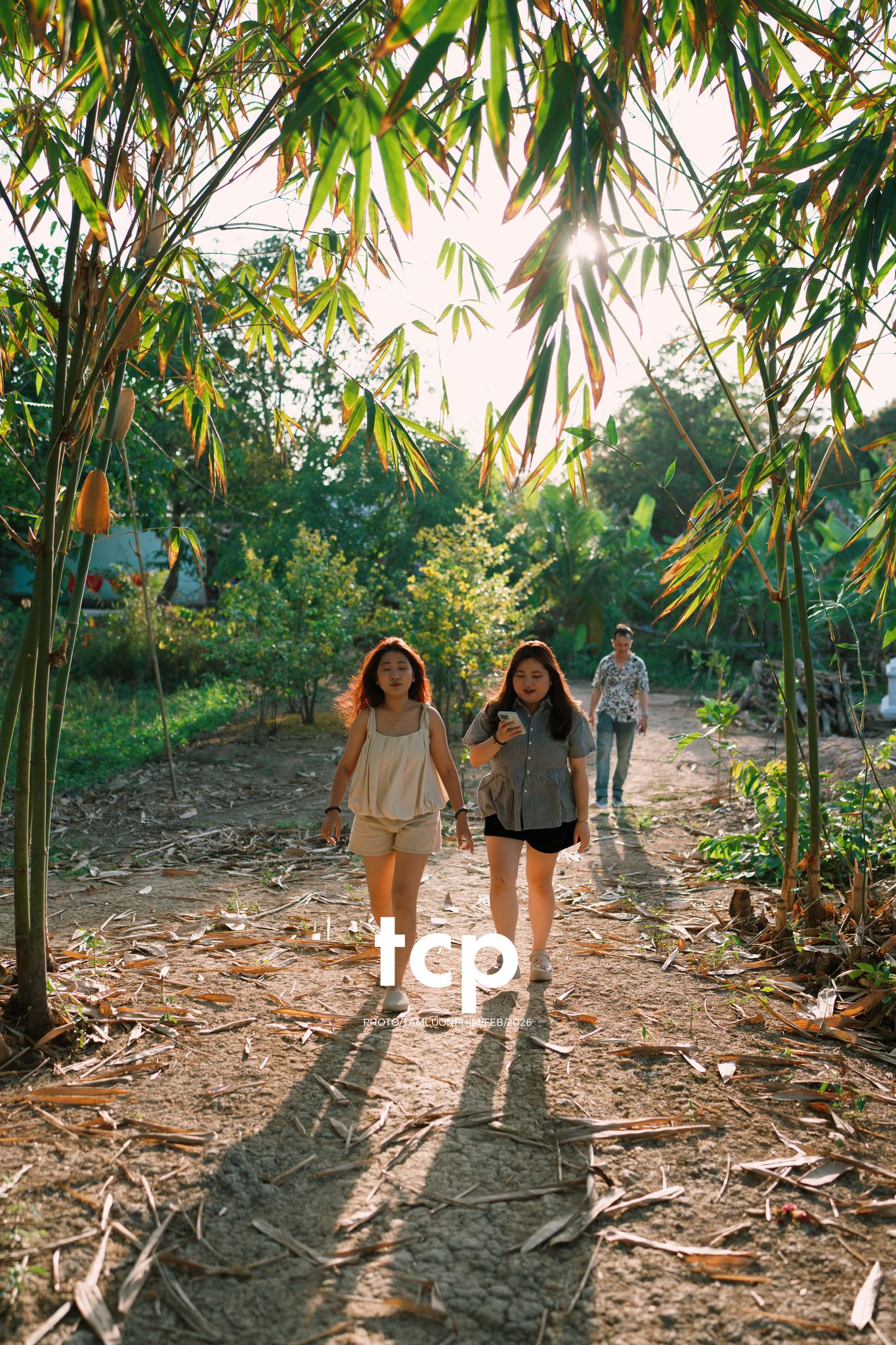 Tám Cuộn Phim - Vừa kịp lúc hoa nở rộ bên hiên nhà