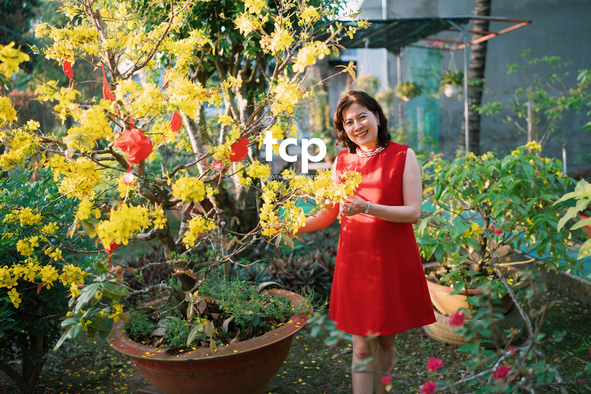 Tám Cuộn Phim - Vừa kịp lúc hoa nở rộ bên hiên nhà