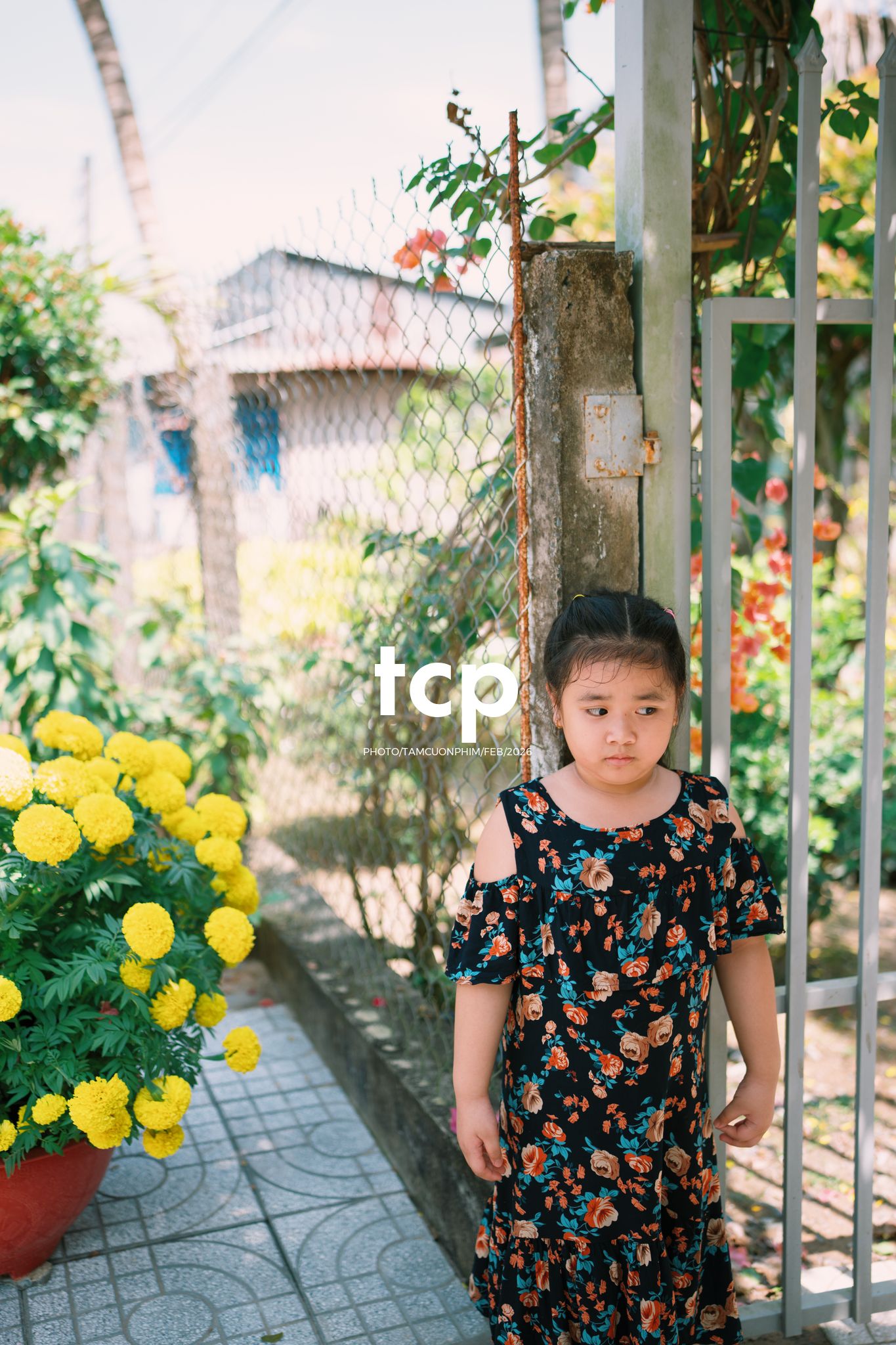 Tám Cuộn Phim - Vừa kịp lúc hoa nở rộ bên hiên nhà