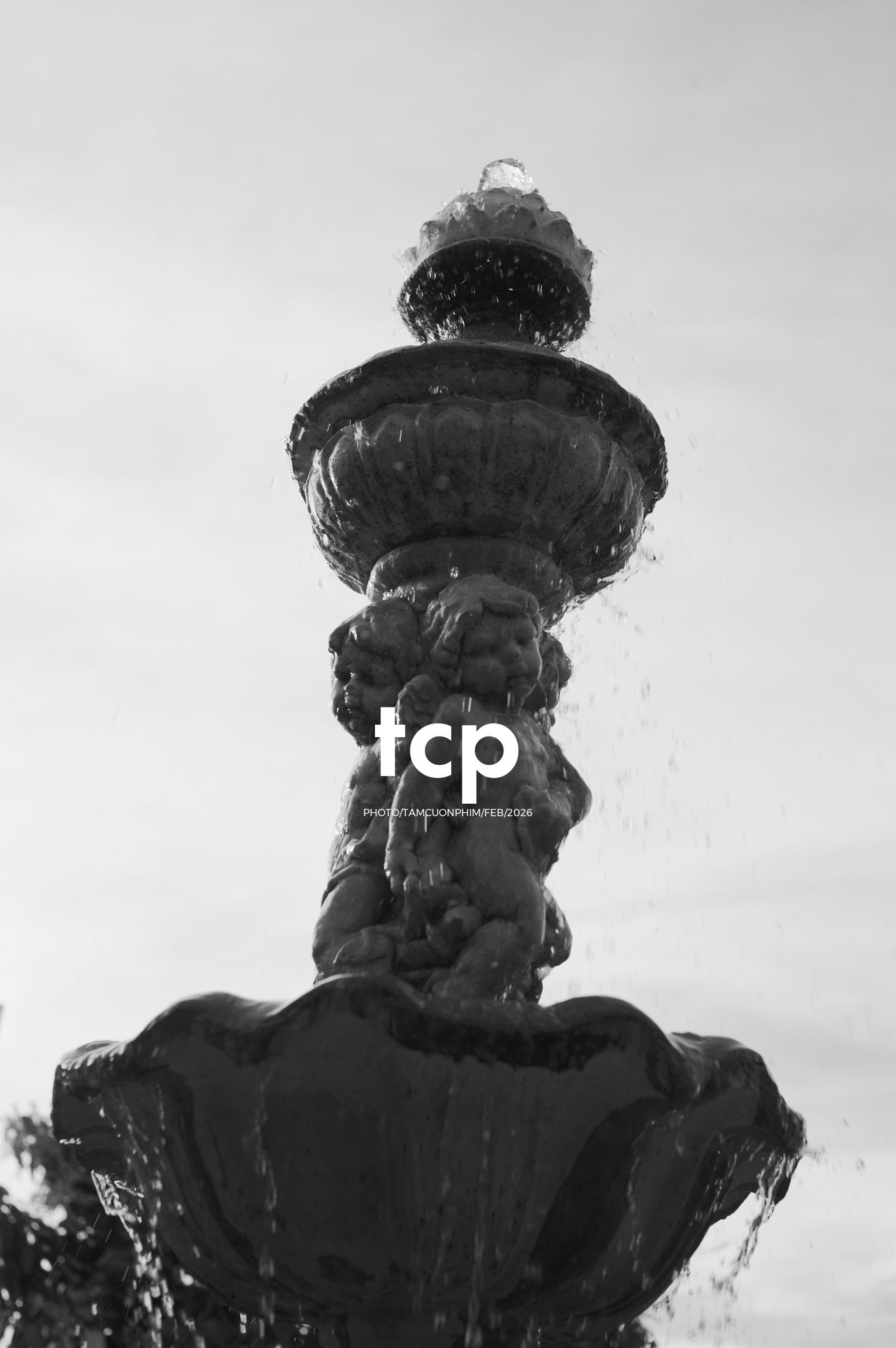 Tám Cuộn Phim - Nắng chiều và những khoảng lặng