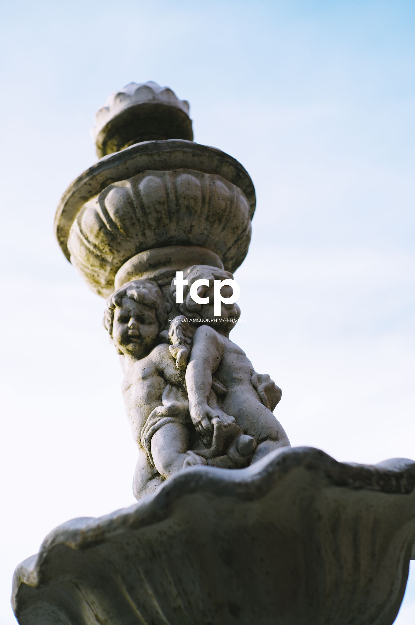 Tám Cuộn Phim - Nắng chiều và những khoảng lặng