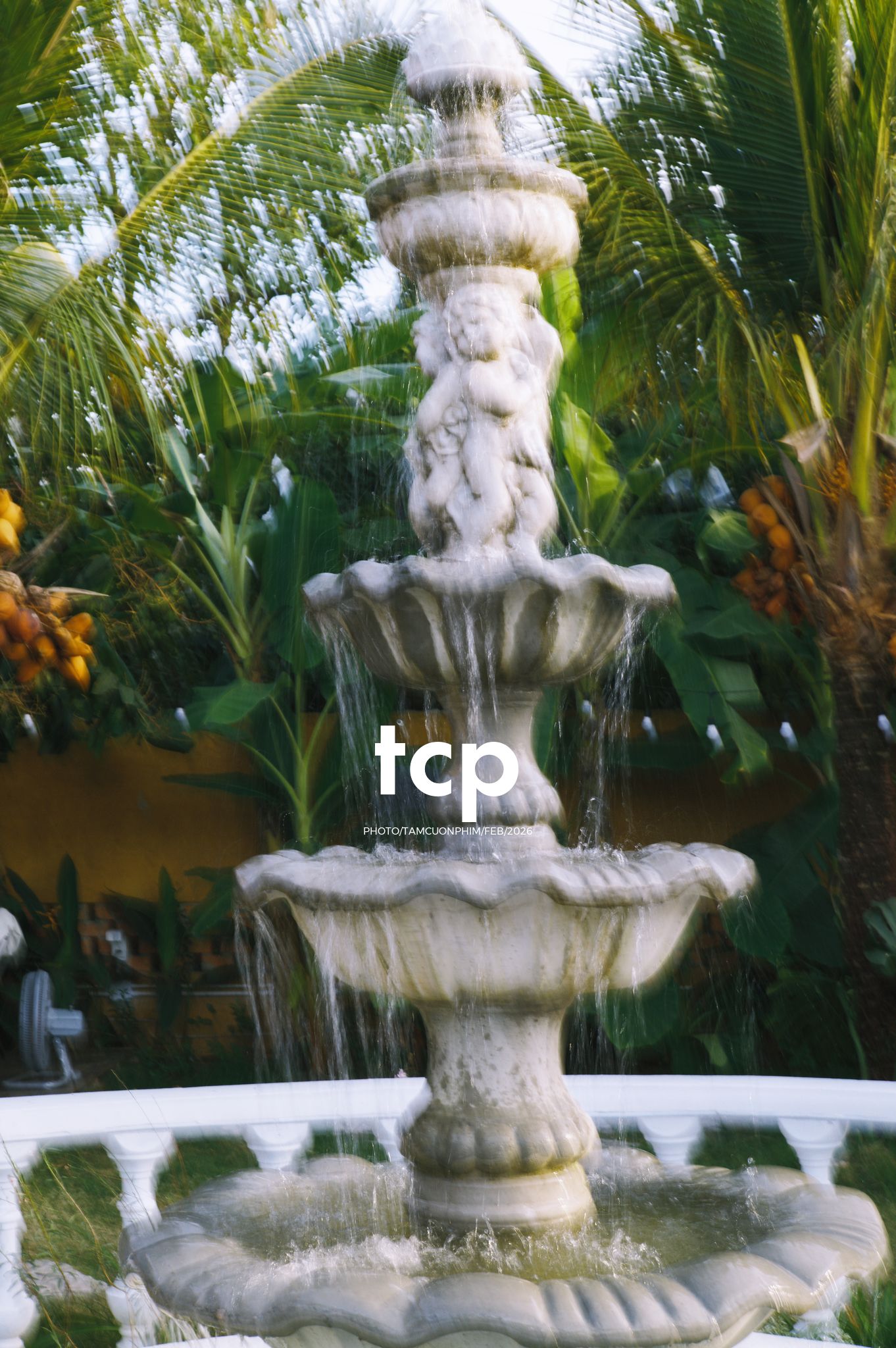 Tám Cuộn Phim - Nắng chiều và những khoảng lặng