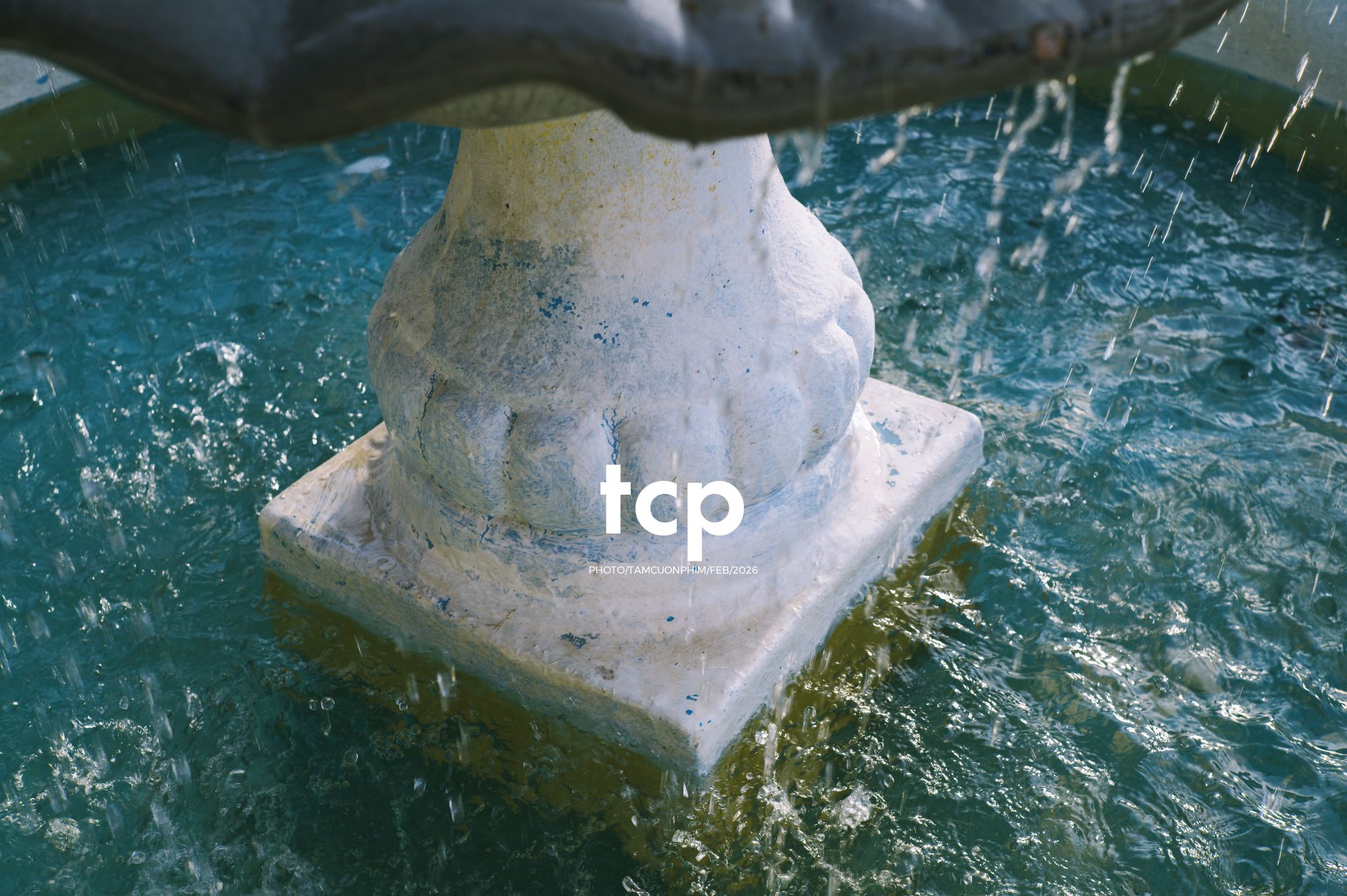 Tám Cuộn Phim - Nắng chiều và những khoảng lặng