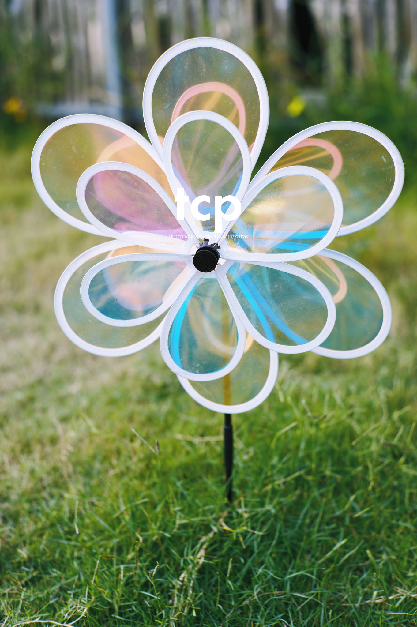 Tám Cuộn Phim - Nắng chiều và những khoảng lặng