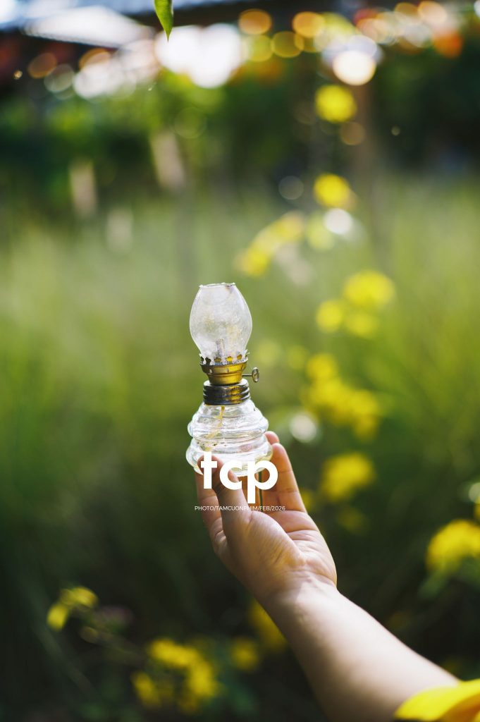 Tám Cuộn Phim - Nắng chiều và những khoảng lặng