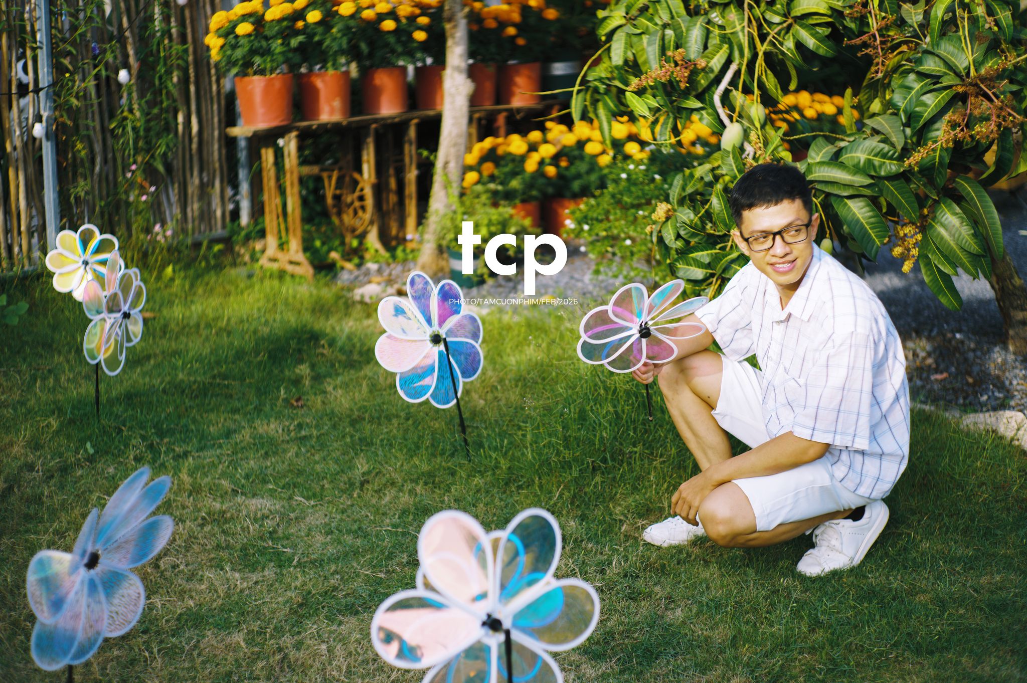 Tám Cuộn Phim - Nắng chiều và những khoảng lặng