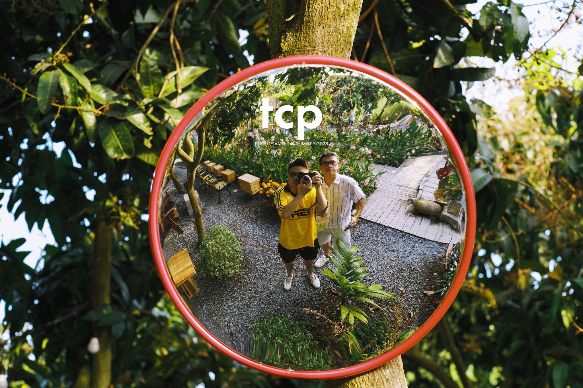 Tám Cuộn Phim - Nắng chiều và những khoảng lặng