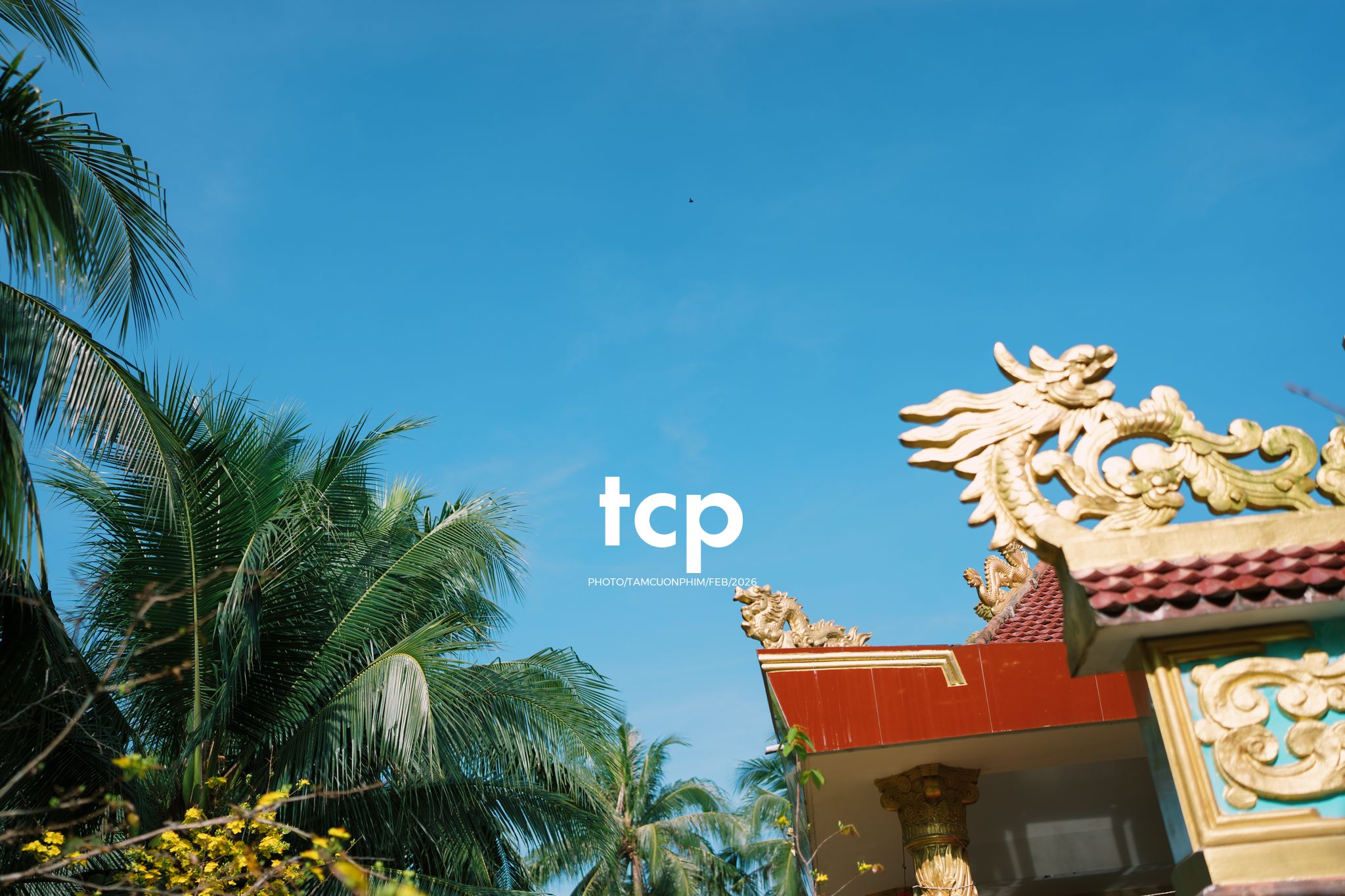 Tám Cuộn Phim - Sắc Vàng Trong Độ Phơi Sáng Miền Tây