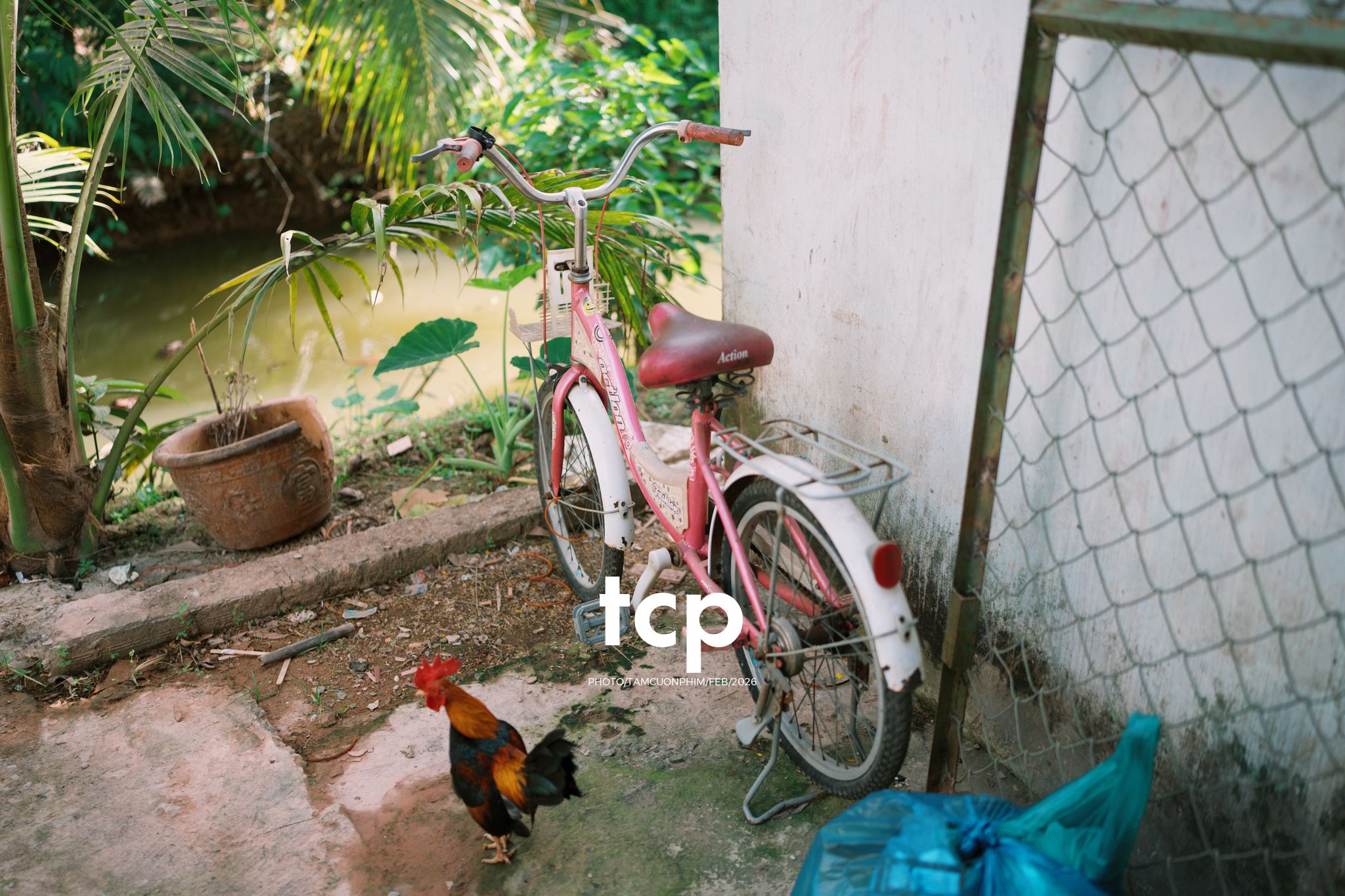 Tám Cuộn Phim - Sắc Vàng Trong Độ Phơi Sáng Miền Tây