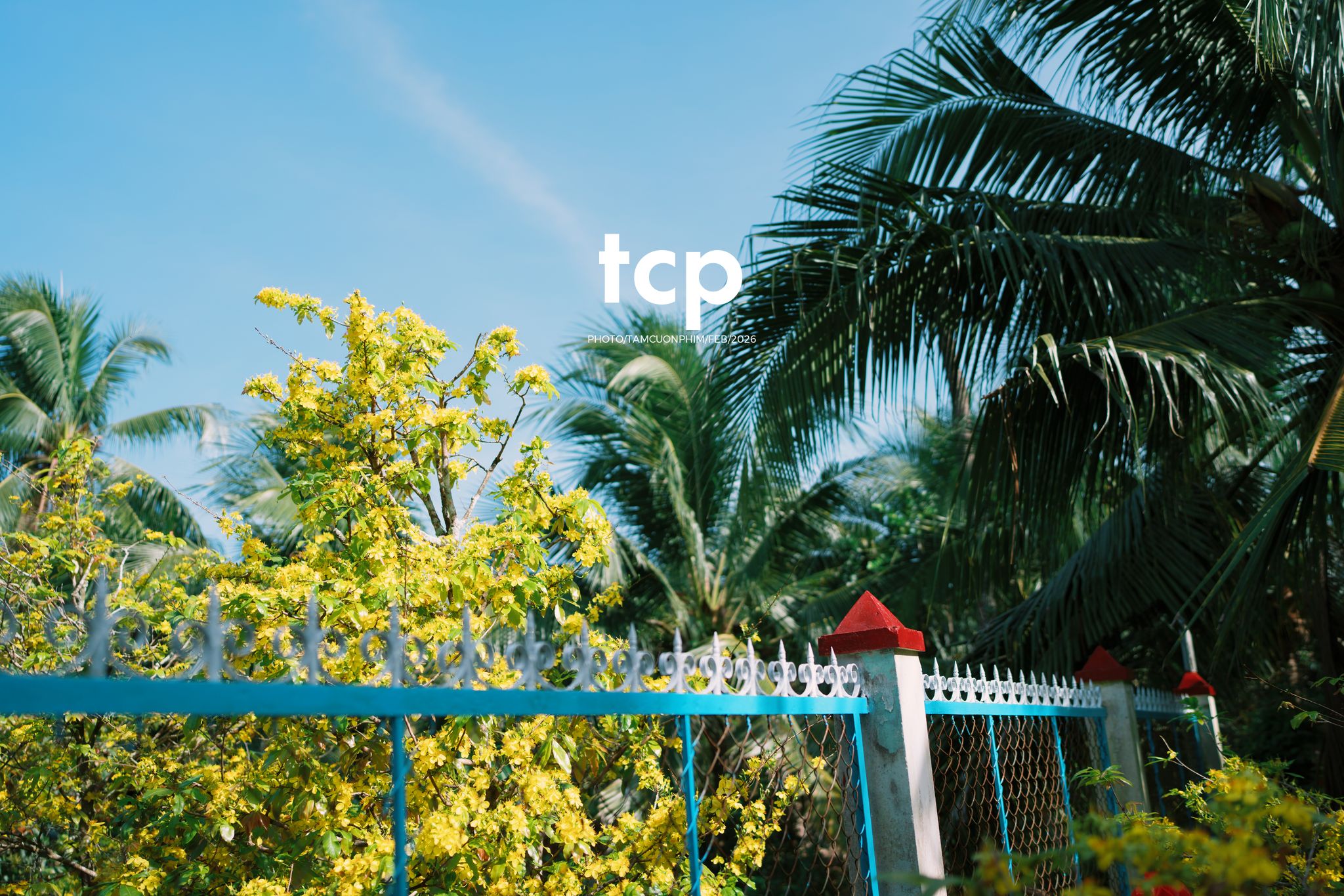 Tám Cuộn Phim - Sắc Vàng Trong Độ Phơi Sáng Miền Tây