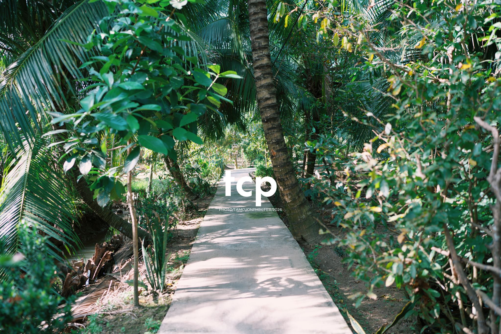 Tám Cuộn Phim - Sắc Vàng Trong Độ Phơi Sáng Miền Tây