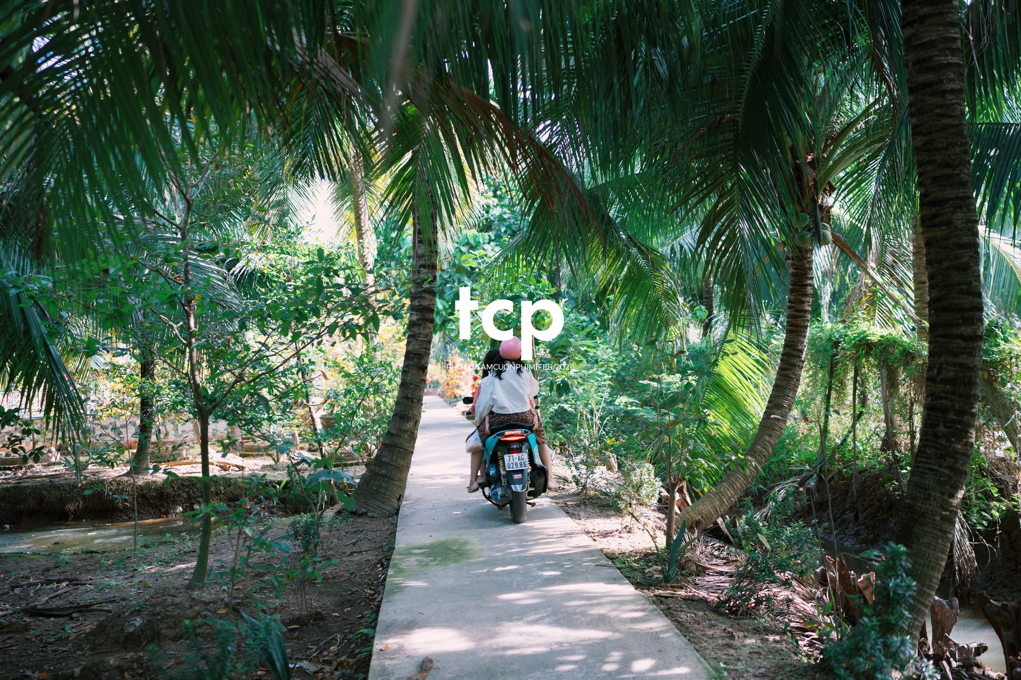 Tám Cuộn Phim - Sắc Vàng Trong Độ Phơi Sáng Miền Tây