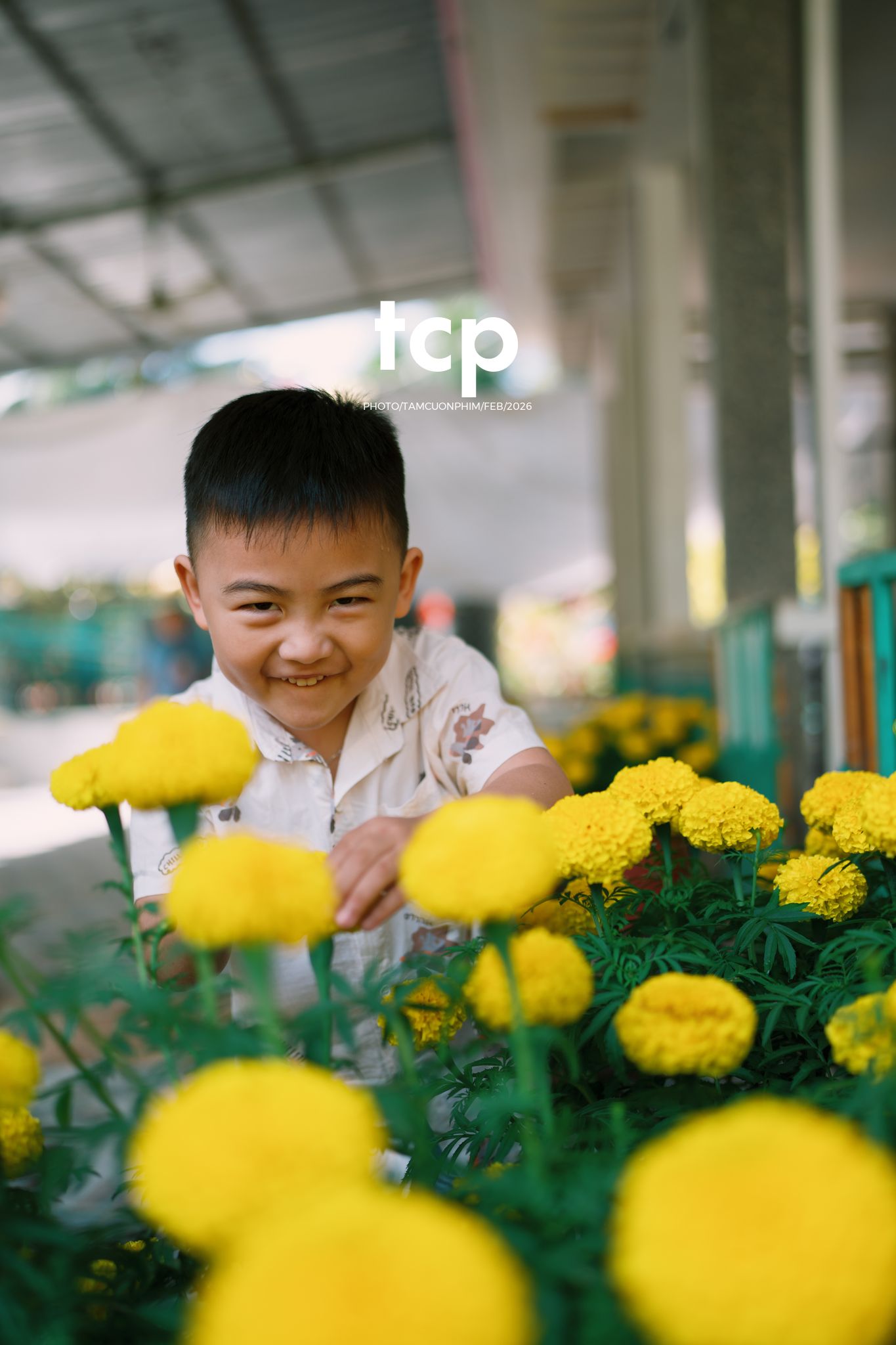 Tám Cuộn Phim - Sắc Vàng Trong Độ Phơi Sáng Miền Tây