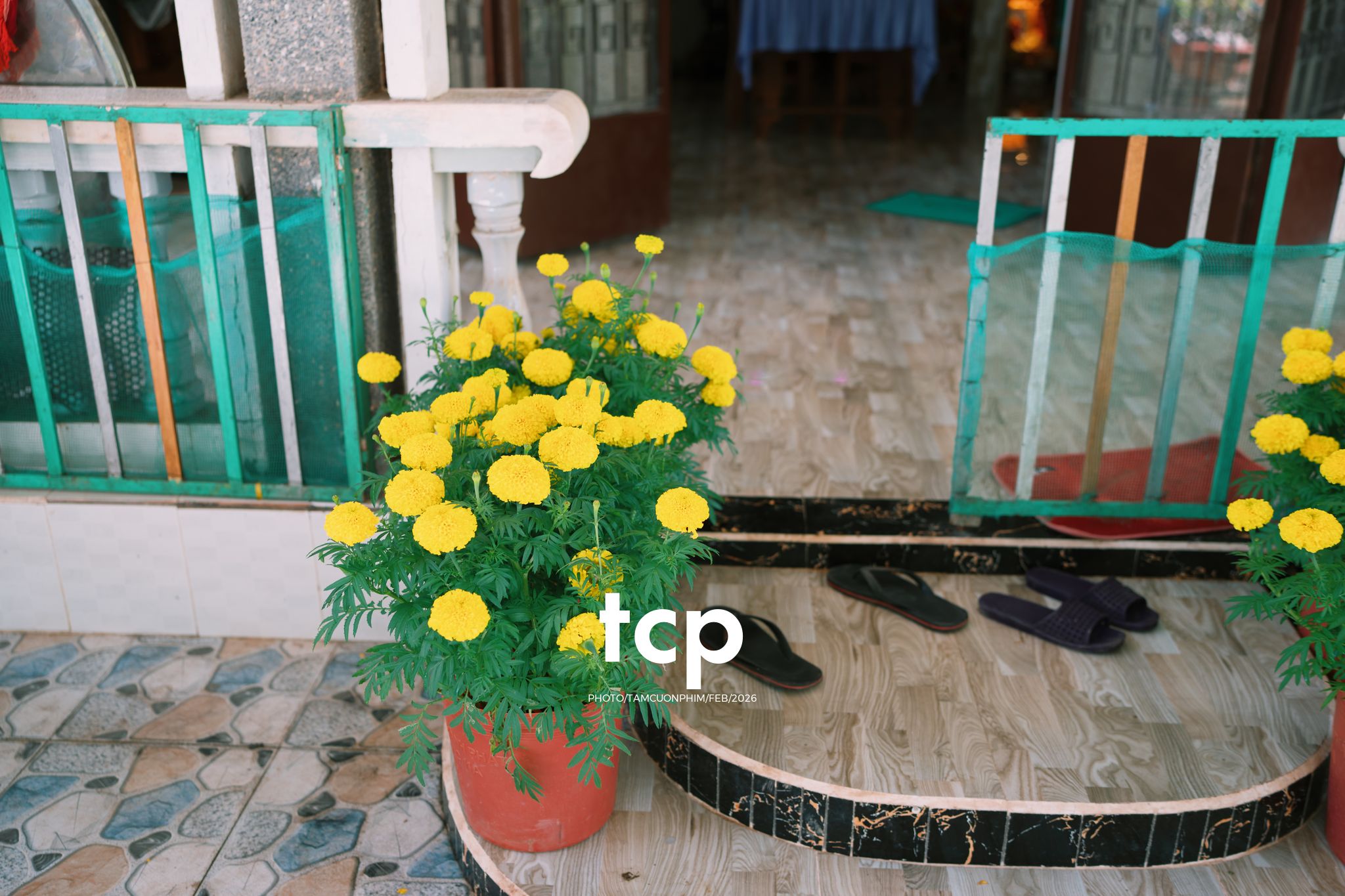 Tám Cuộn Phim - Sắc Vàng Trong Độ Phơi Sáng Miền Tây