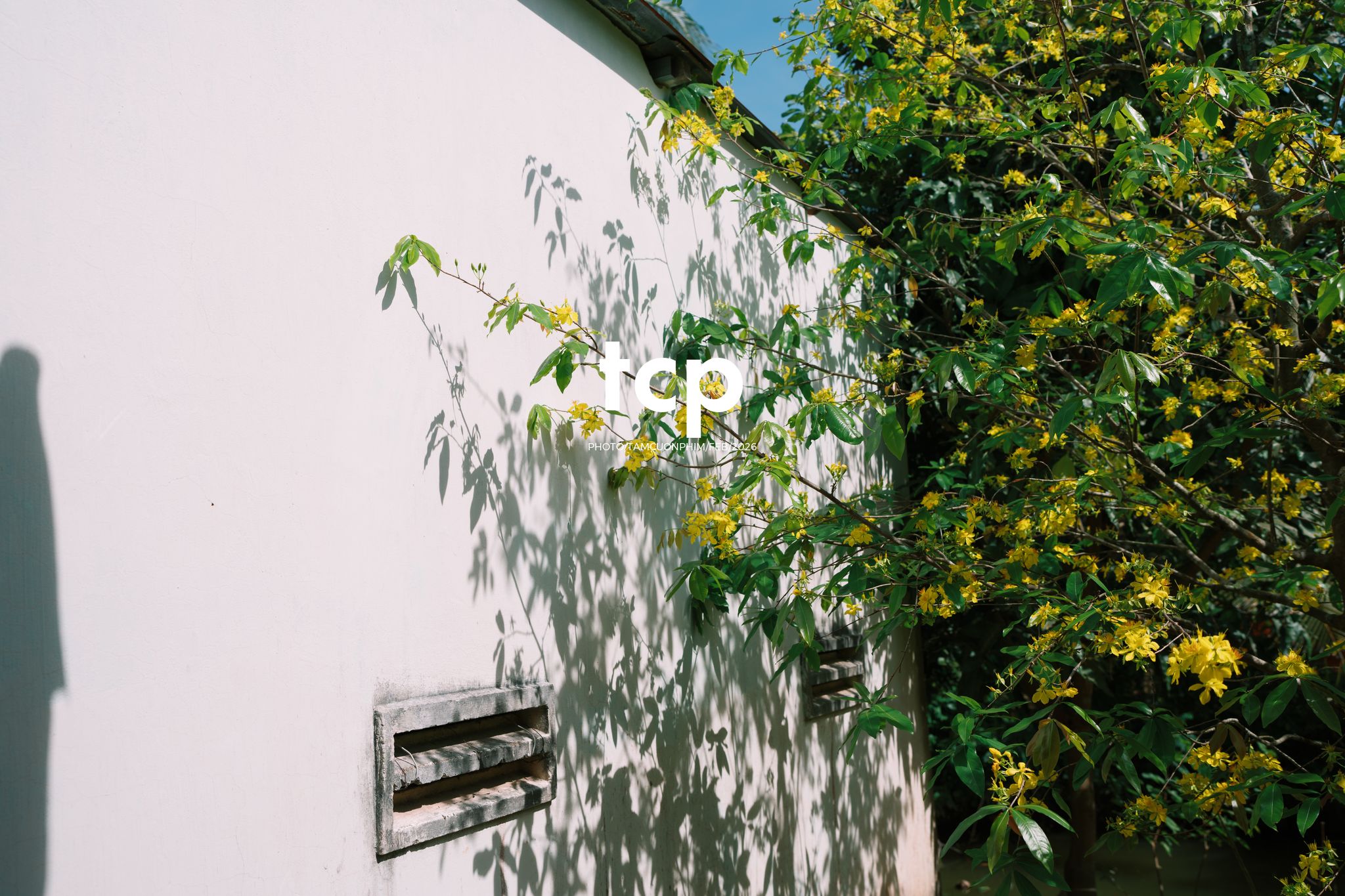 Tám Cuộn Phim - Sắc Vàng Trong Độ Phơi Sáng Miền Tây