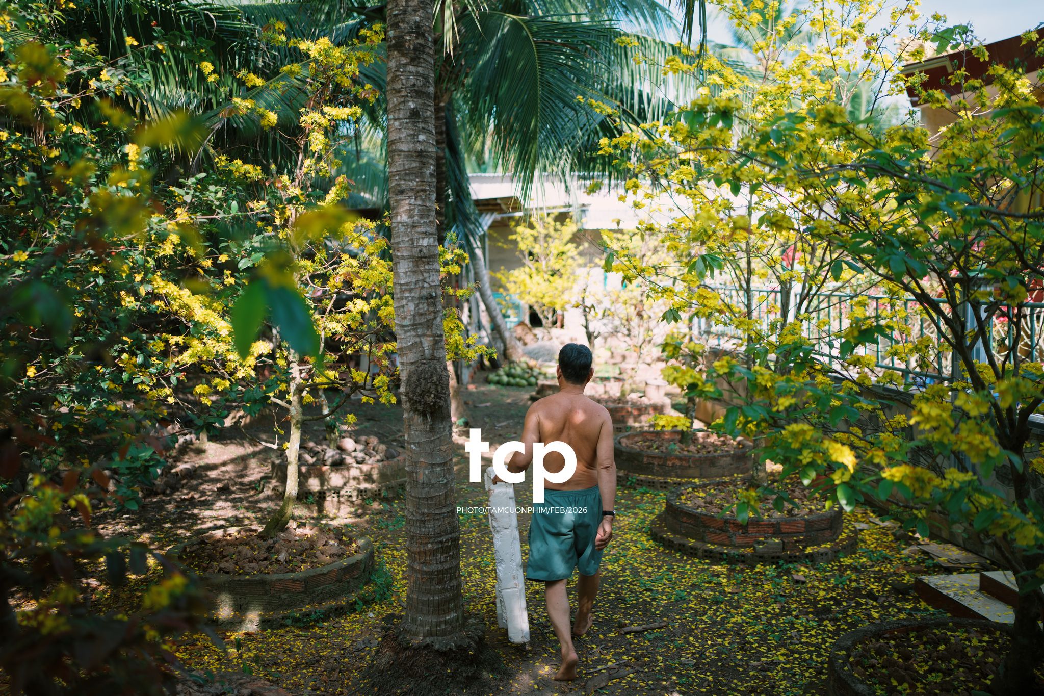 Tám Cuộn Phim - Sắc Vàng Trong Độ Phơi Sáng Miền Tây