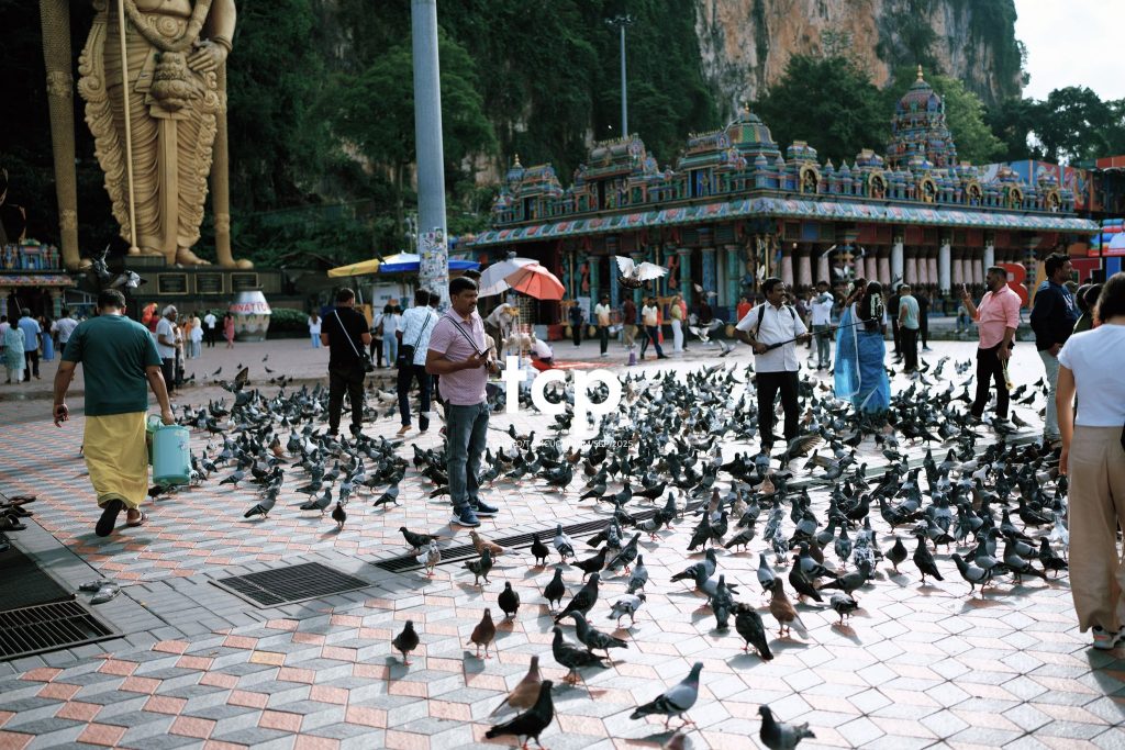 Tám Cuộn Phim - Hành trình kết nối tâm linh và văn hóa đầy màu sắc